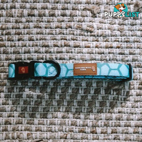 Designer Dog Collars by Explore with Paws - EWPCOLSTIGN