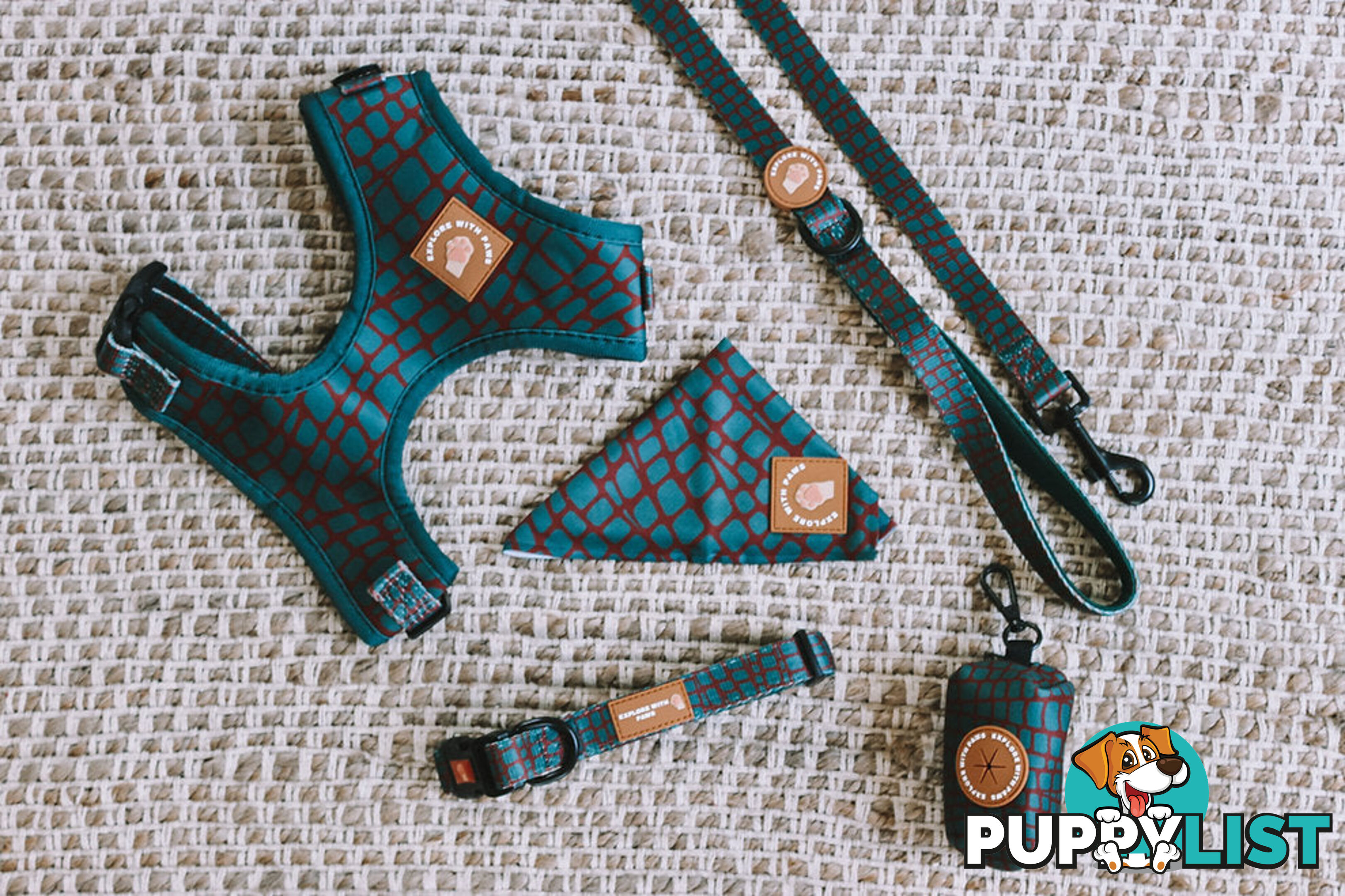 Designer Dog Collars by Explore with Paws - EWPCOLSTIGN