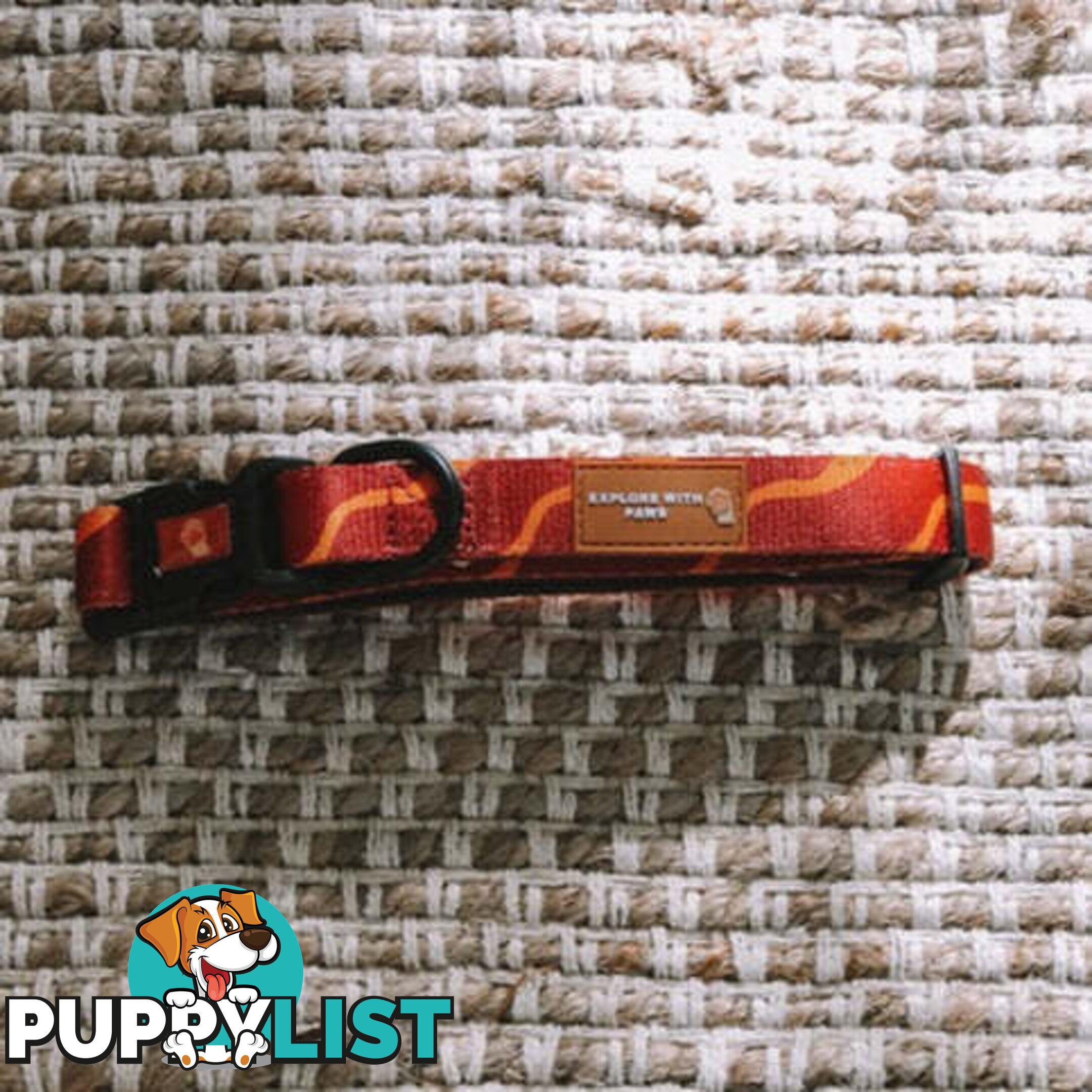 Designer Dog Collars by Explore with Paws - EWPCOLSTIGN