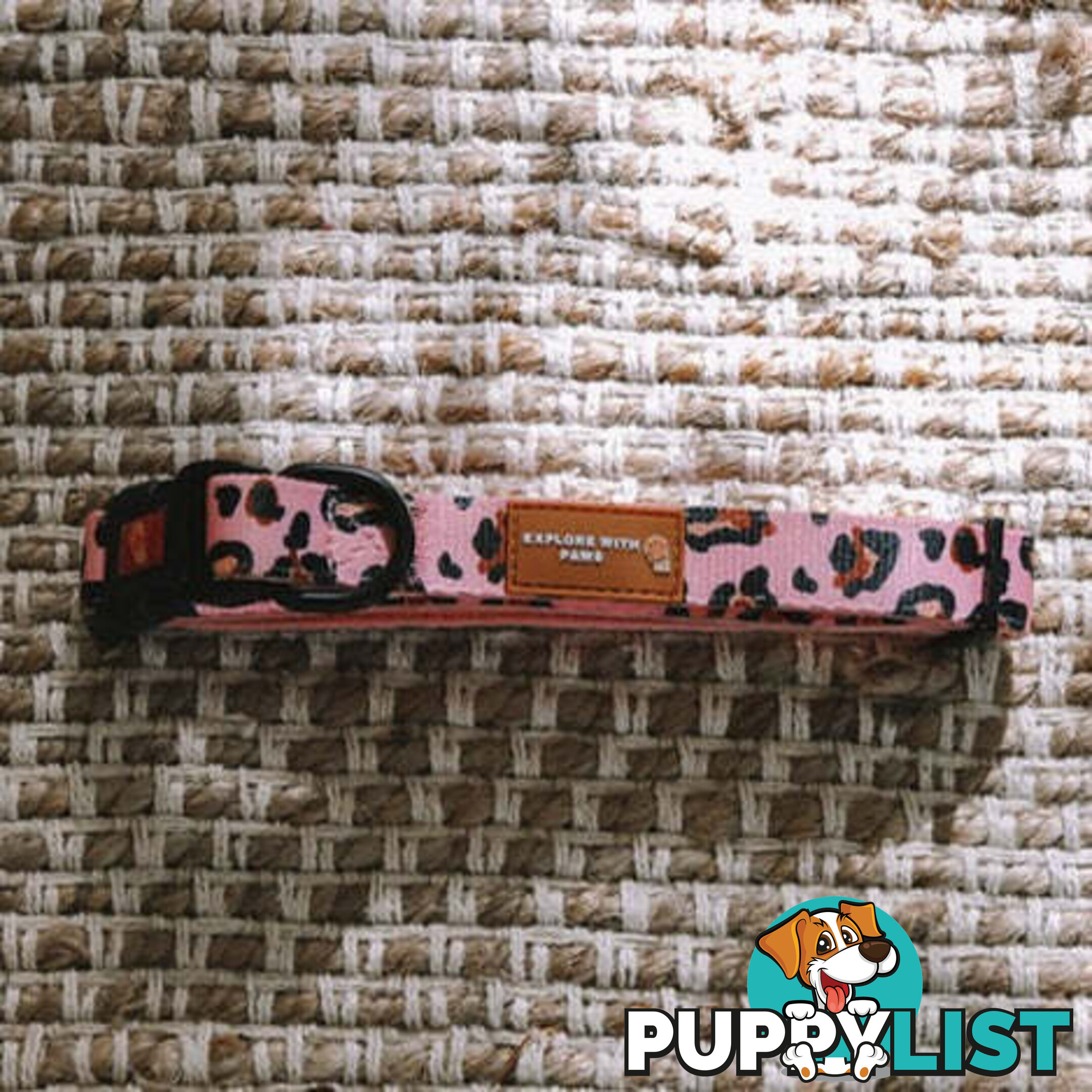 Designer Dog Collars by Explore with Paws - EWPCOLSTIGN