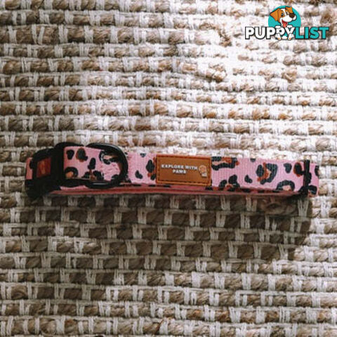 Designer Dog Collars by Explore with Paws - EWPCOLSTIGN