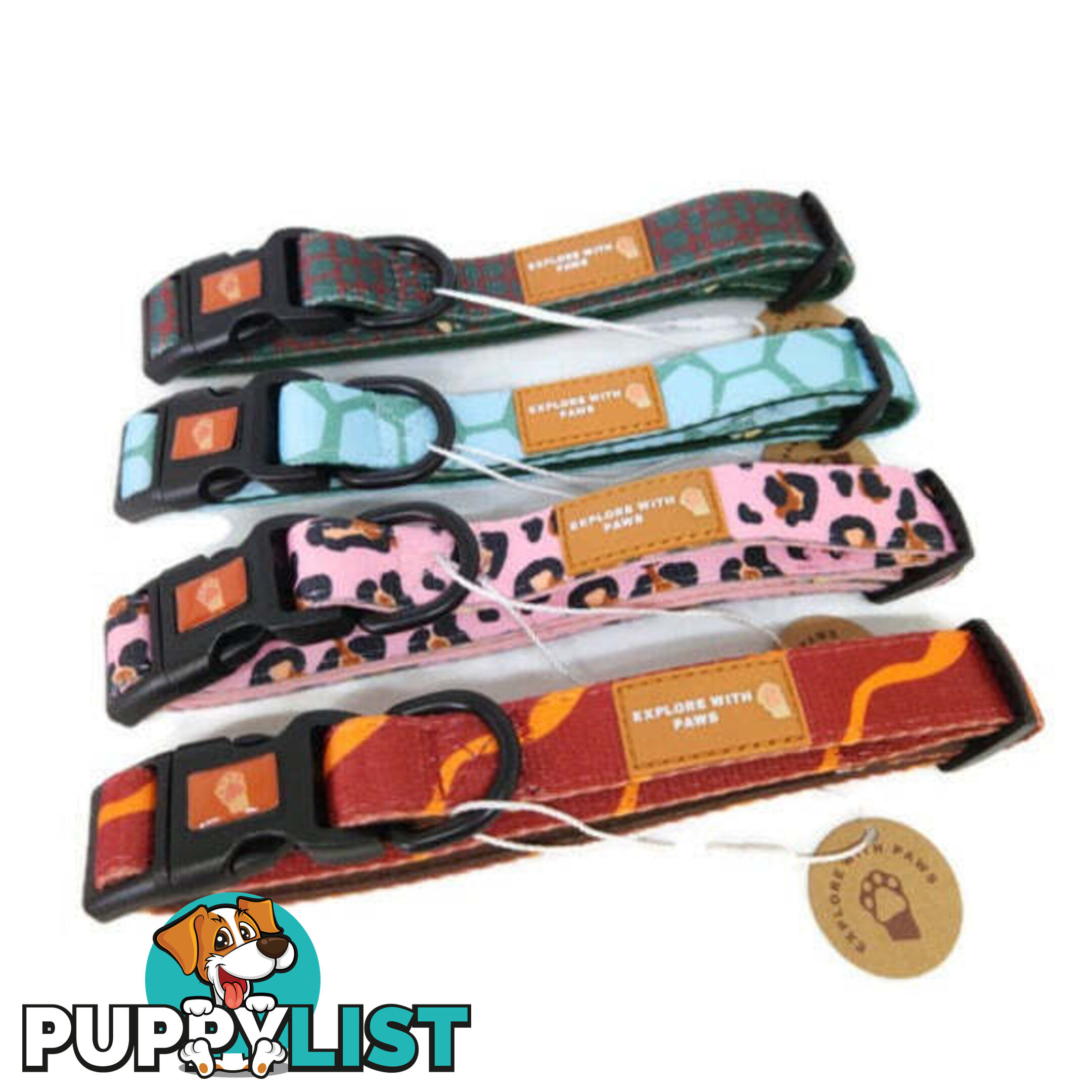 Designer Dog Collars by Explore with Paws - EWPCOLSTIGN