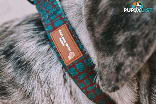 Designer Dog Collars by Explore with Paws - EWPCOLSTIGN