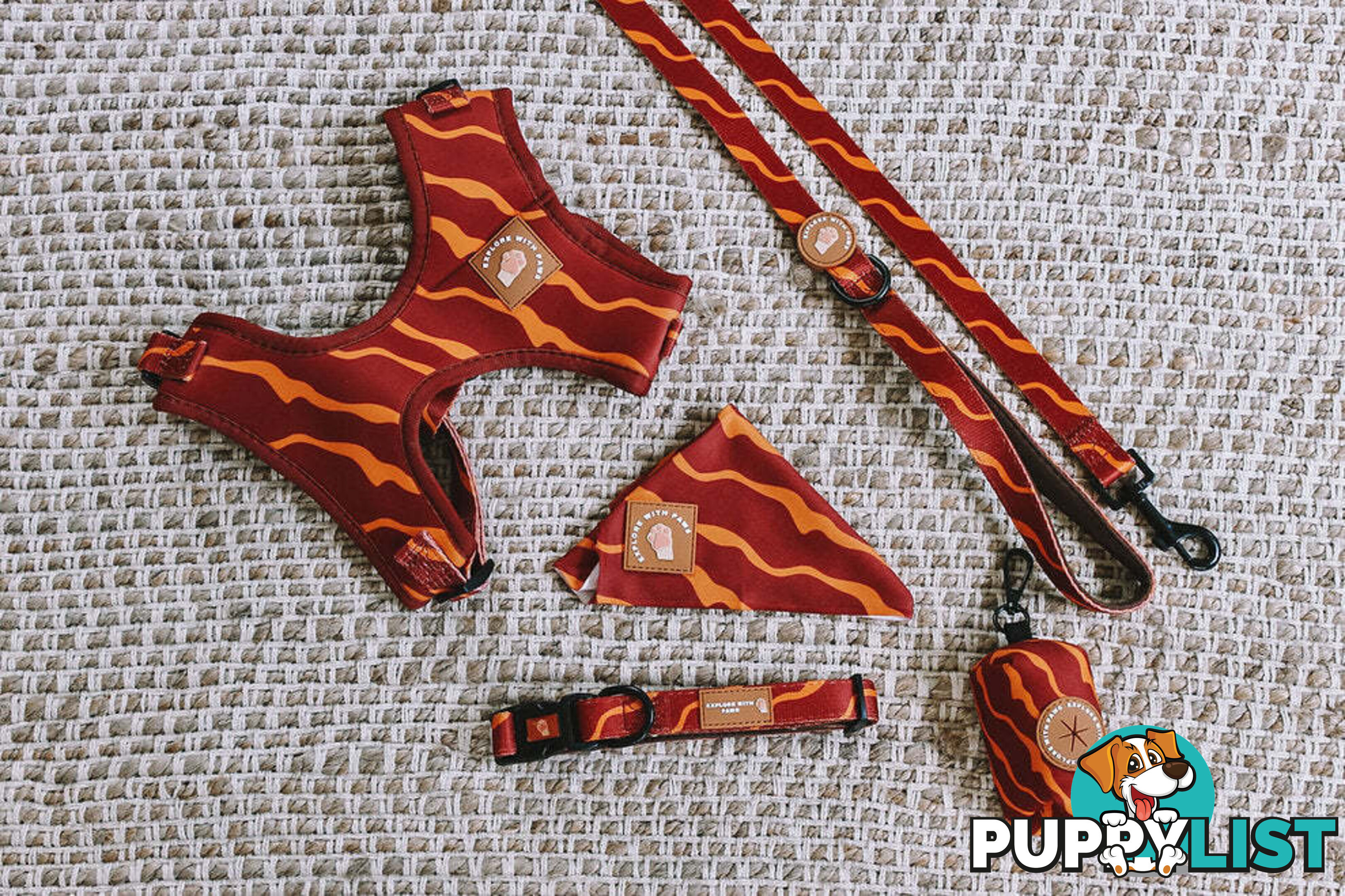 Designer Dog Collars by Explore with Paws - EWPCOLSTIGN
