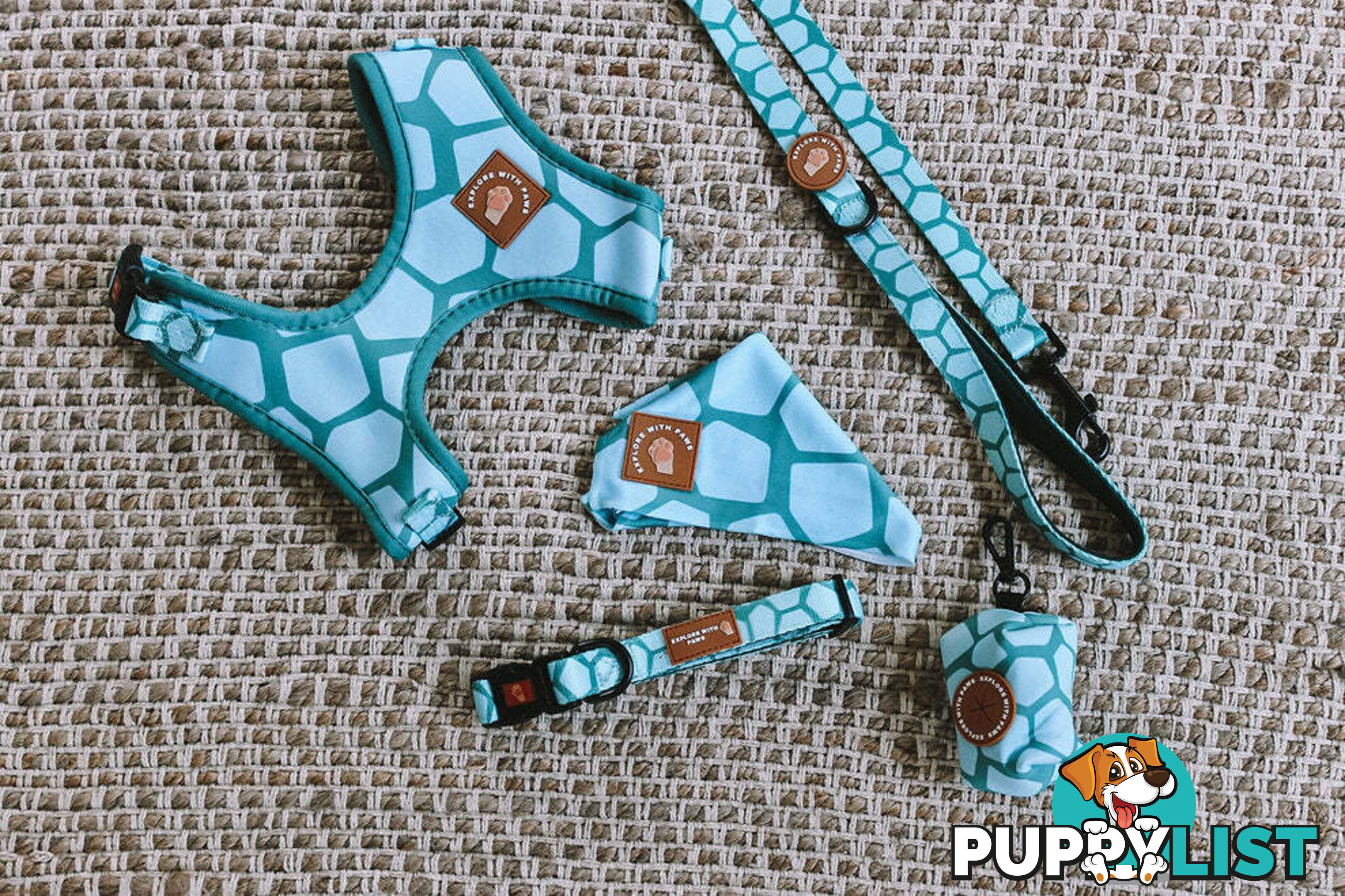 Designer Dog Collars by Explore with Paws - EWPCOLSTIGN
