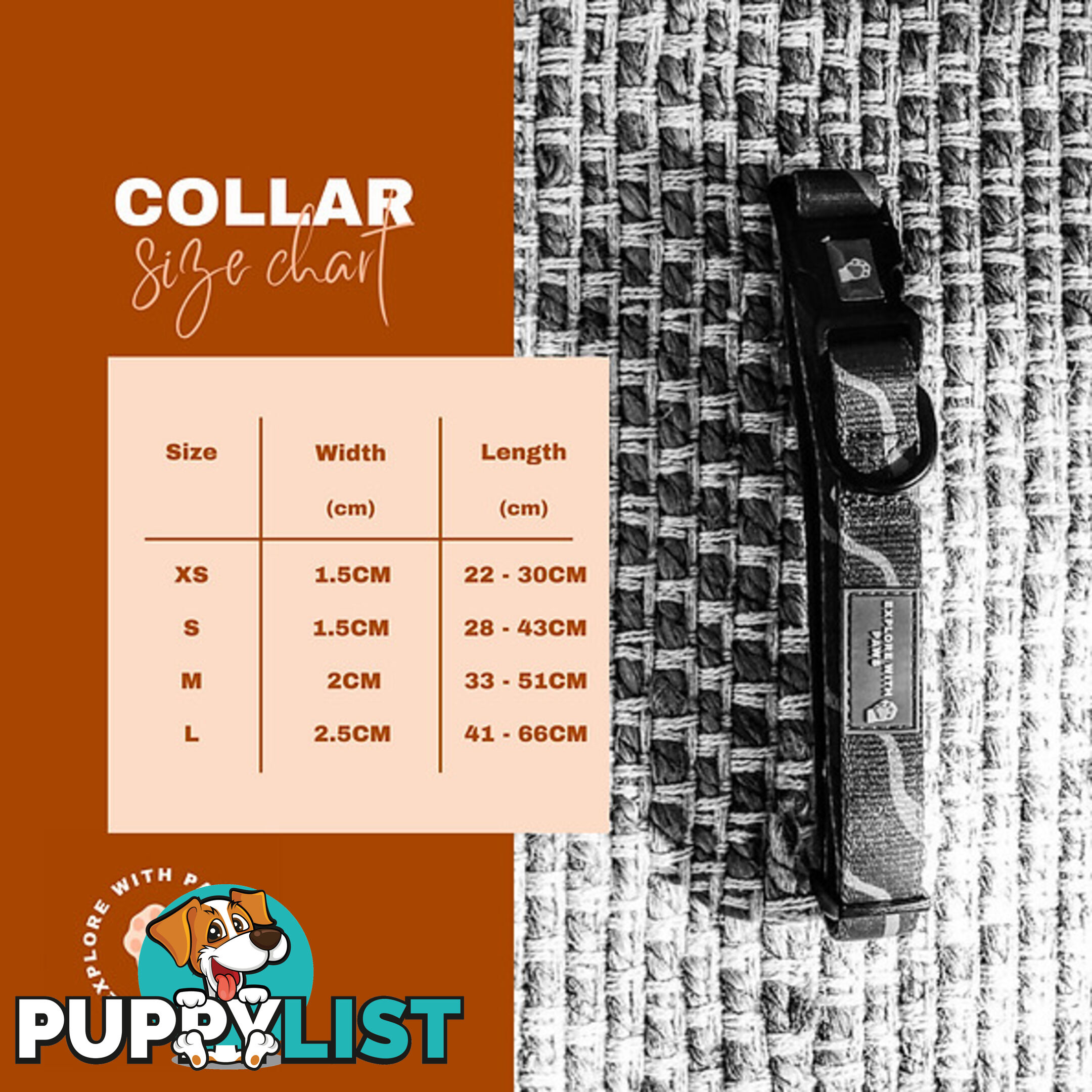 Designer Dog Collars by Explore with Paws - EWPCOLSTIGN