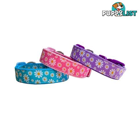 Daisy Dog Collar -  Hand Made by The Bark Side - TBSDAIXSPNK