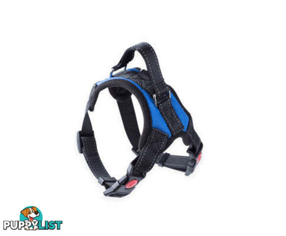 FLOOFI Dog Harness - V227-3331641041123