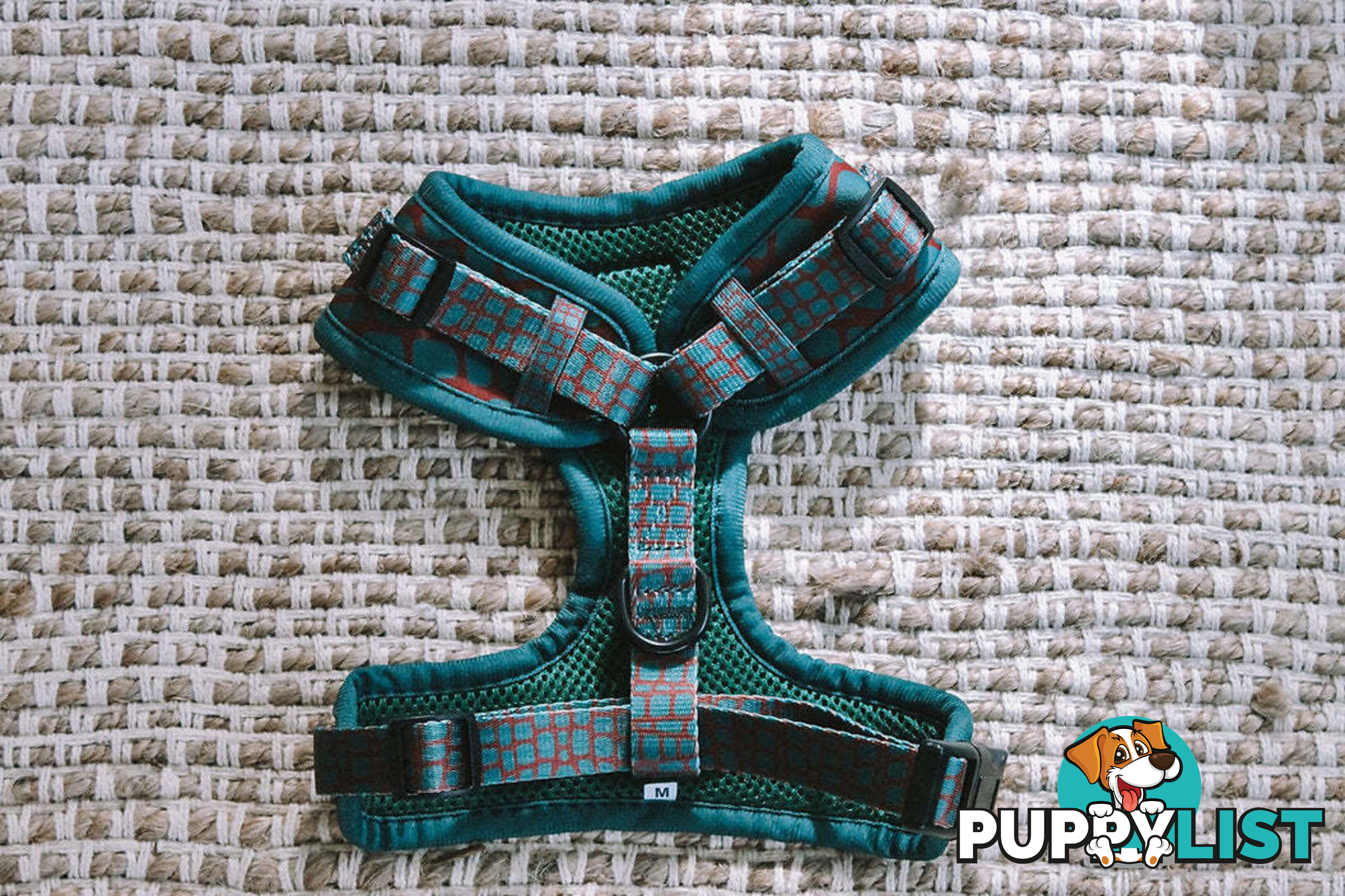 Designer Dog Harness by Explore with Paws - EWPHARTURMN
