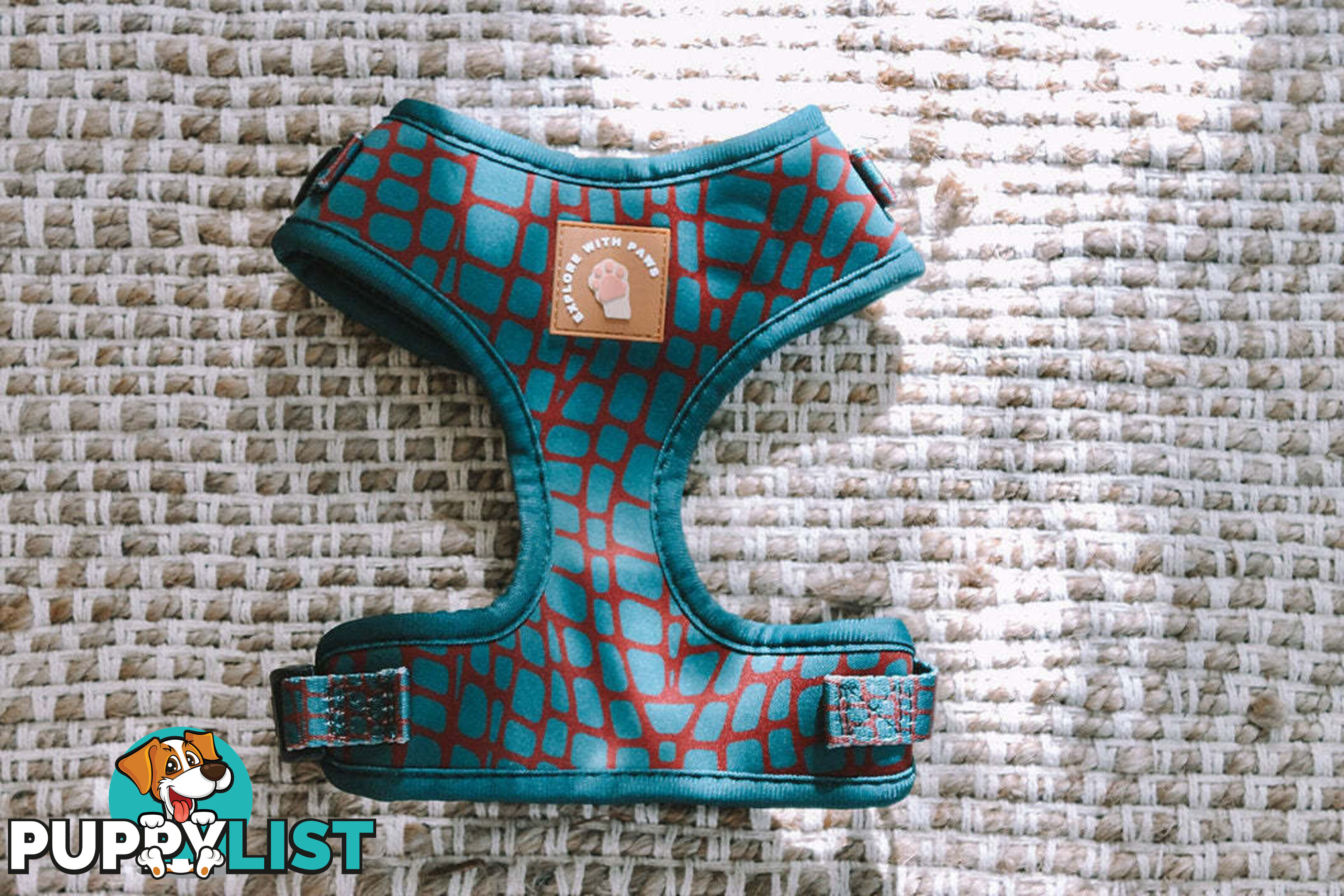 Designer Dog Harness by Explore with Paws - EWPHARTURMN