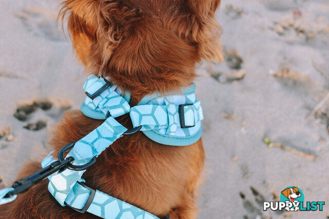 Designer Dog Harness by Explore with Paws - EWPHARTURMN