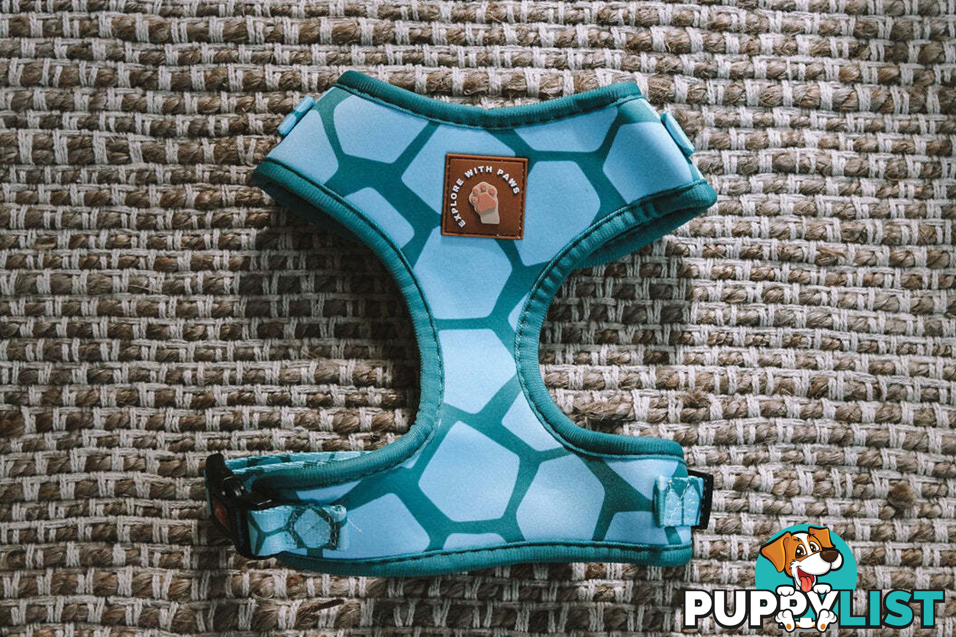 Designer Dog Harness by Explore with Paws - EWPHARTURMN