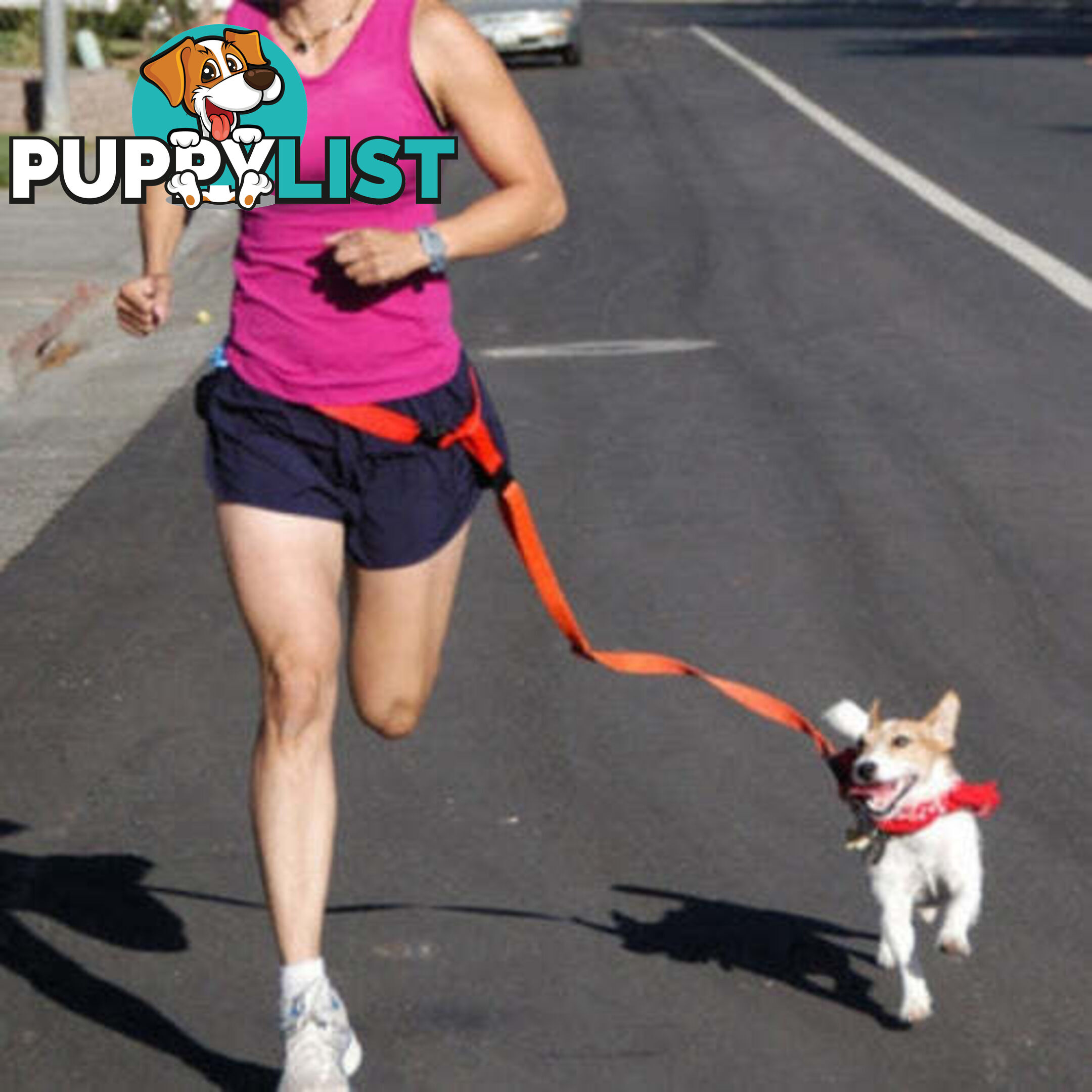 Hands Free Runner/Walker Waist Dog Leash Reflective- Moondidley Pets - MDPLDRUNBLK