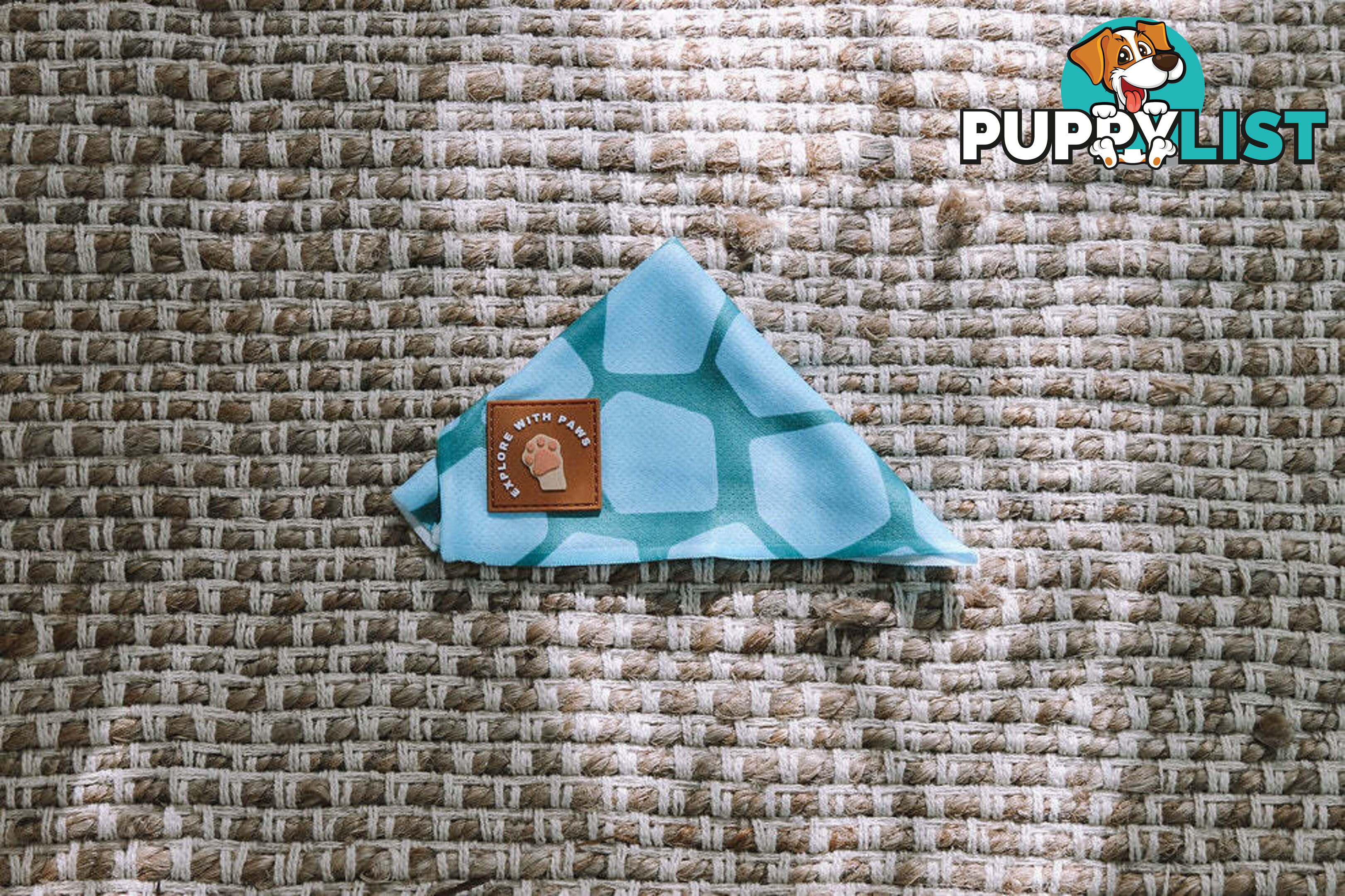 Designer Dog Bandana's by Explore with Paws - EWPBANMTIG