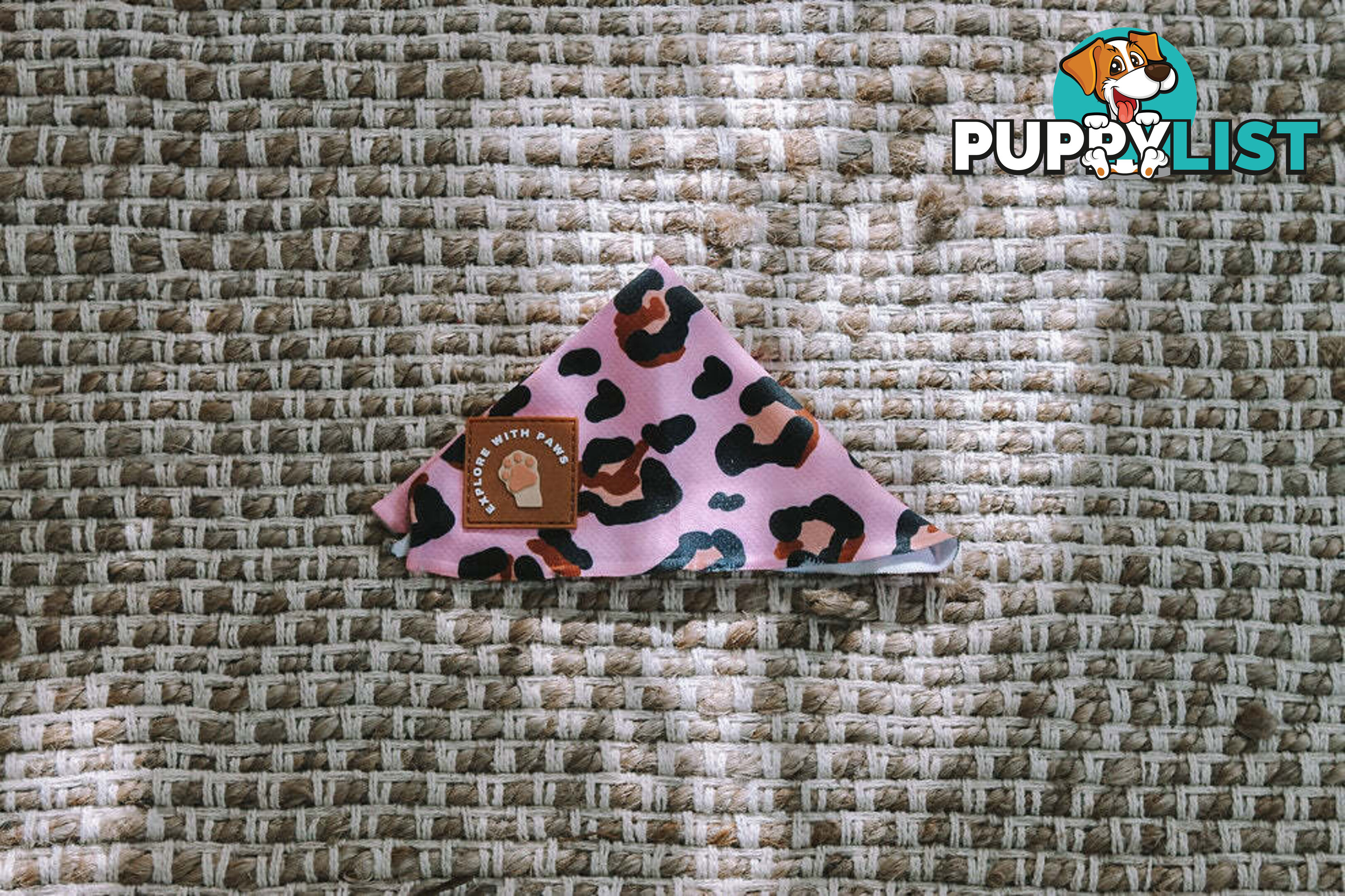 Designer Dog Bandana's by Explore with Paws - EWPBANMTIG