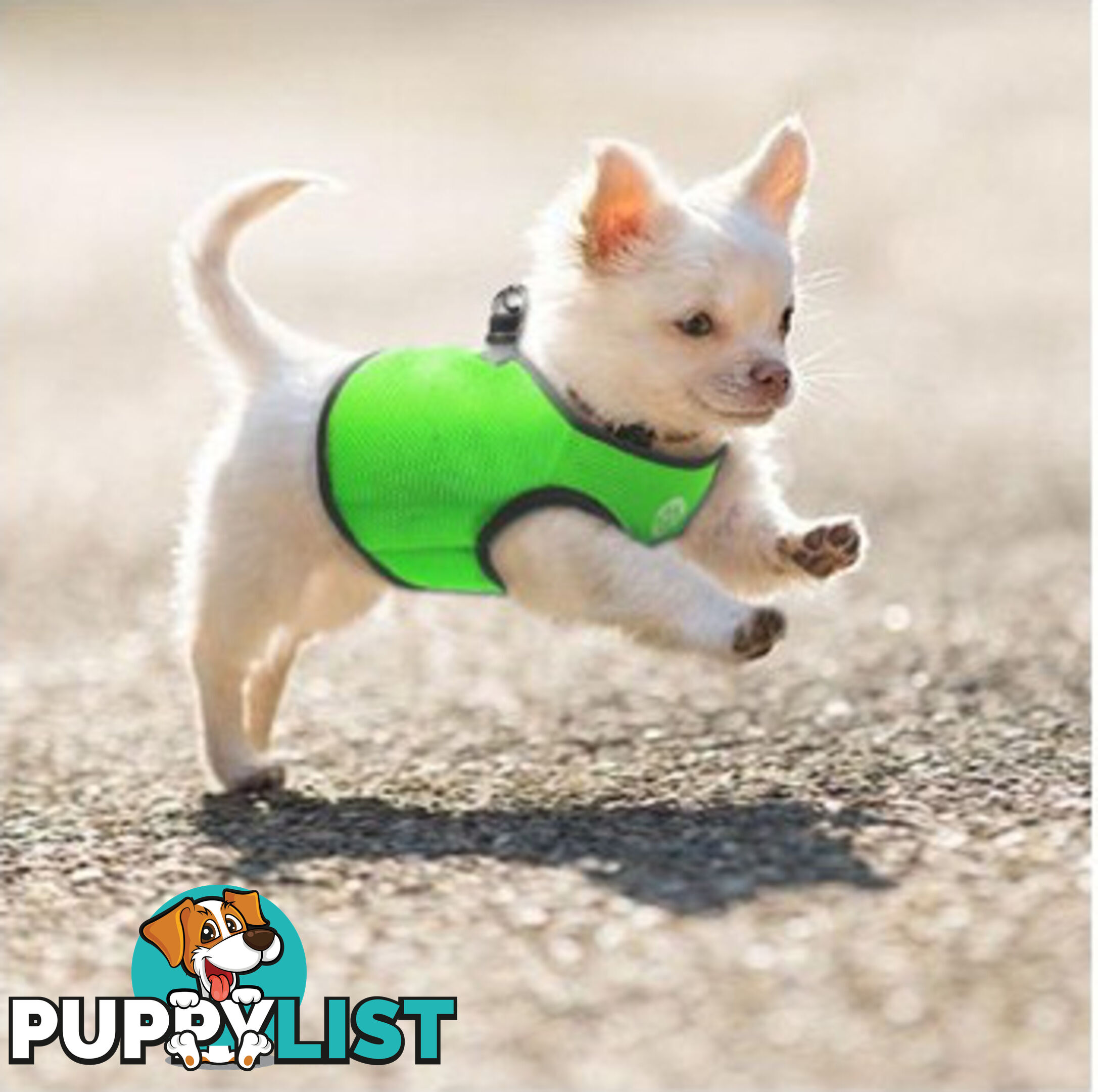Doggie ID Vest Soft Air Mesh Personlised Embroidered - MDPIDVESXSPNK