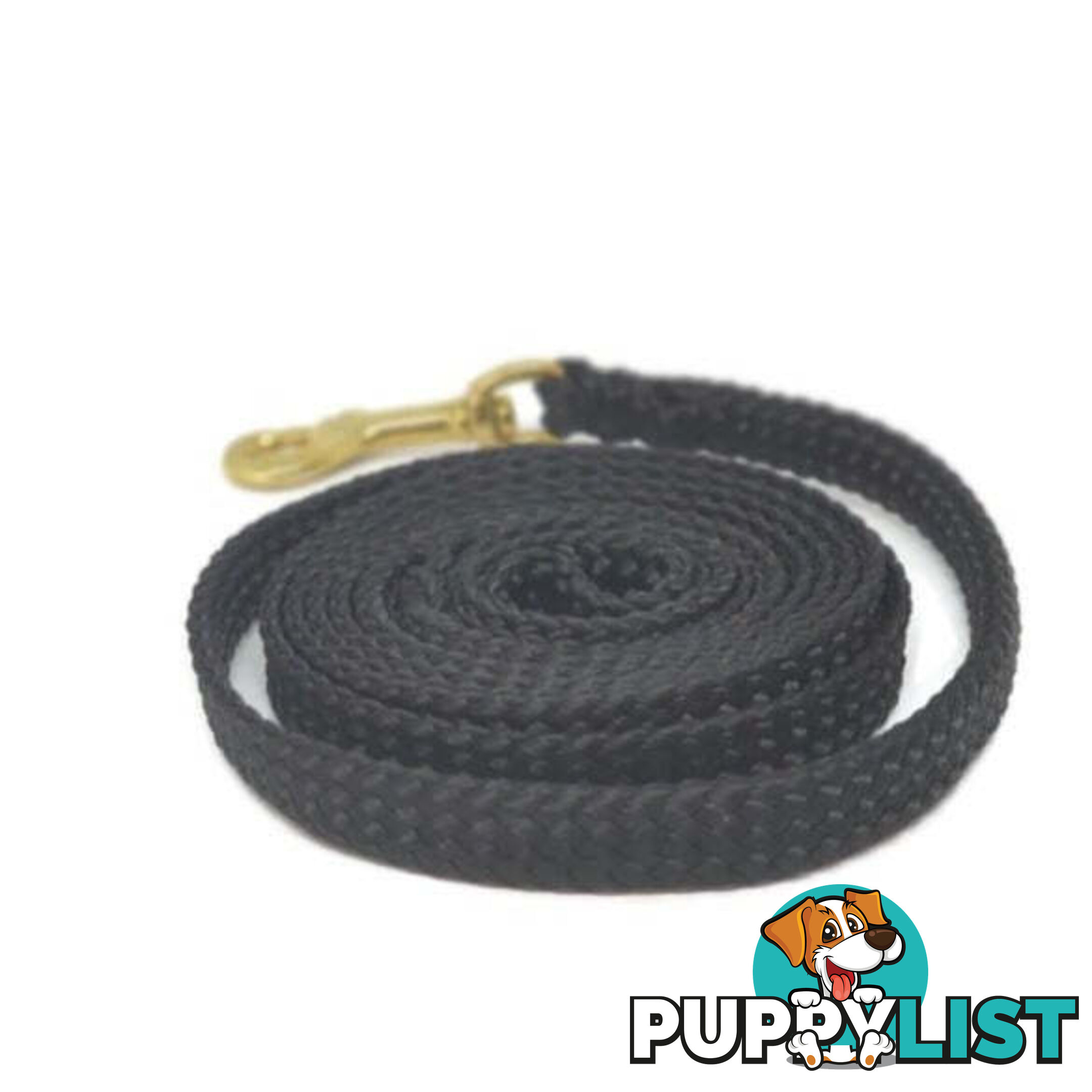 1.8m to 10m Long Dog Lead No Stitching Tough Yarnix 10mm Wide - YNXLD10-10-PUR-BR