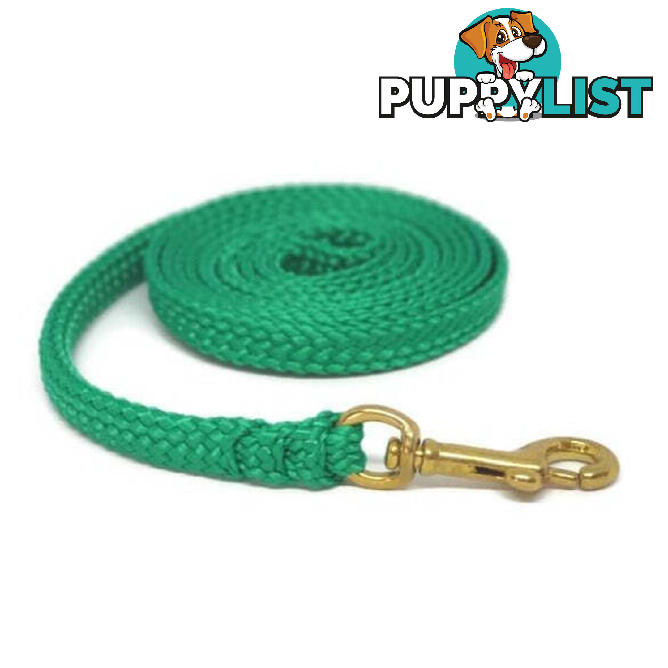 1.8m to 10m Long Dog Lead No Stitching Tough Yarnix 10mm Wide - YNXLD10-10-PUR-BR