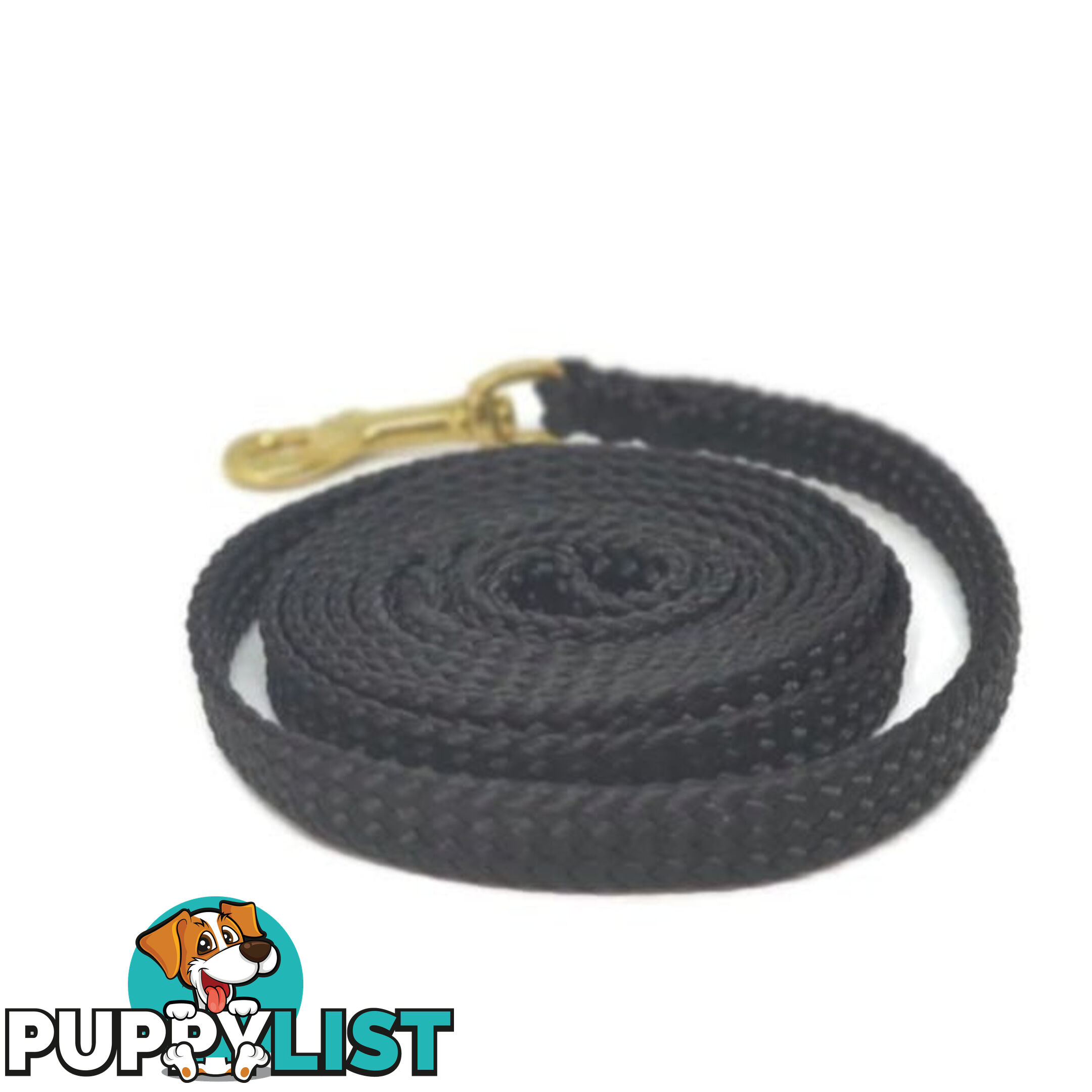 1.8m to 10m Long Dog Lead No Stitching Tough Yarnix 10mm Wide - YNXLD10-10-PUR-BR