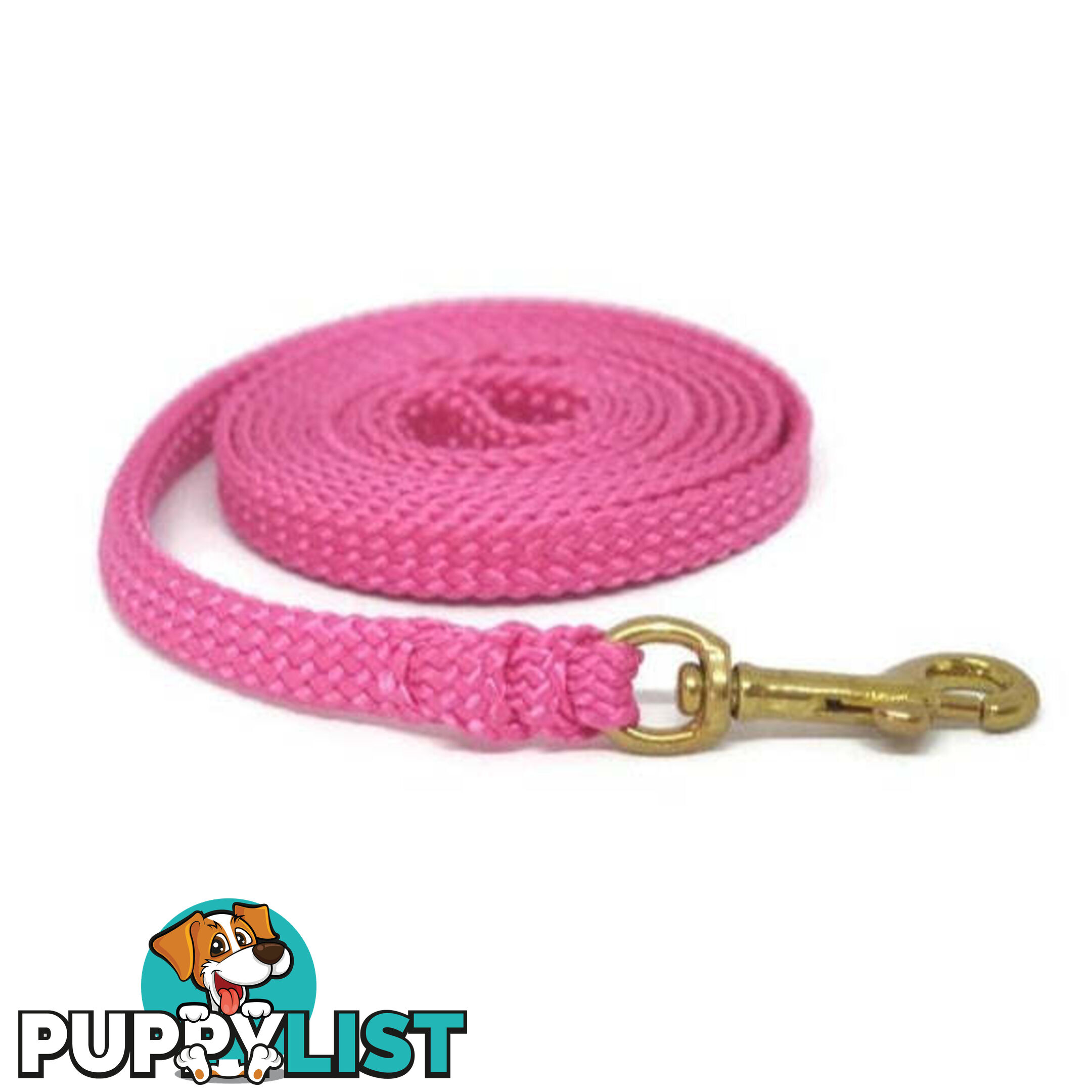 1.8m to 10m Long Dog Lead No Stitching Tough Yarnix 10mm Wide - YNXLD10-10-PUR-BR