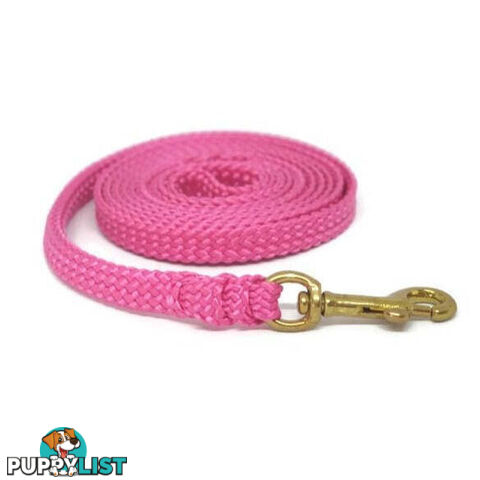 1.8m to 10m Long Dog Lead No Stitching Tough Yarnix 10mm Wide - YNXLD10-10-PUR-BR