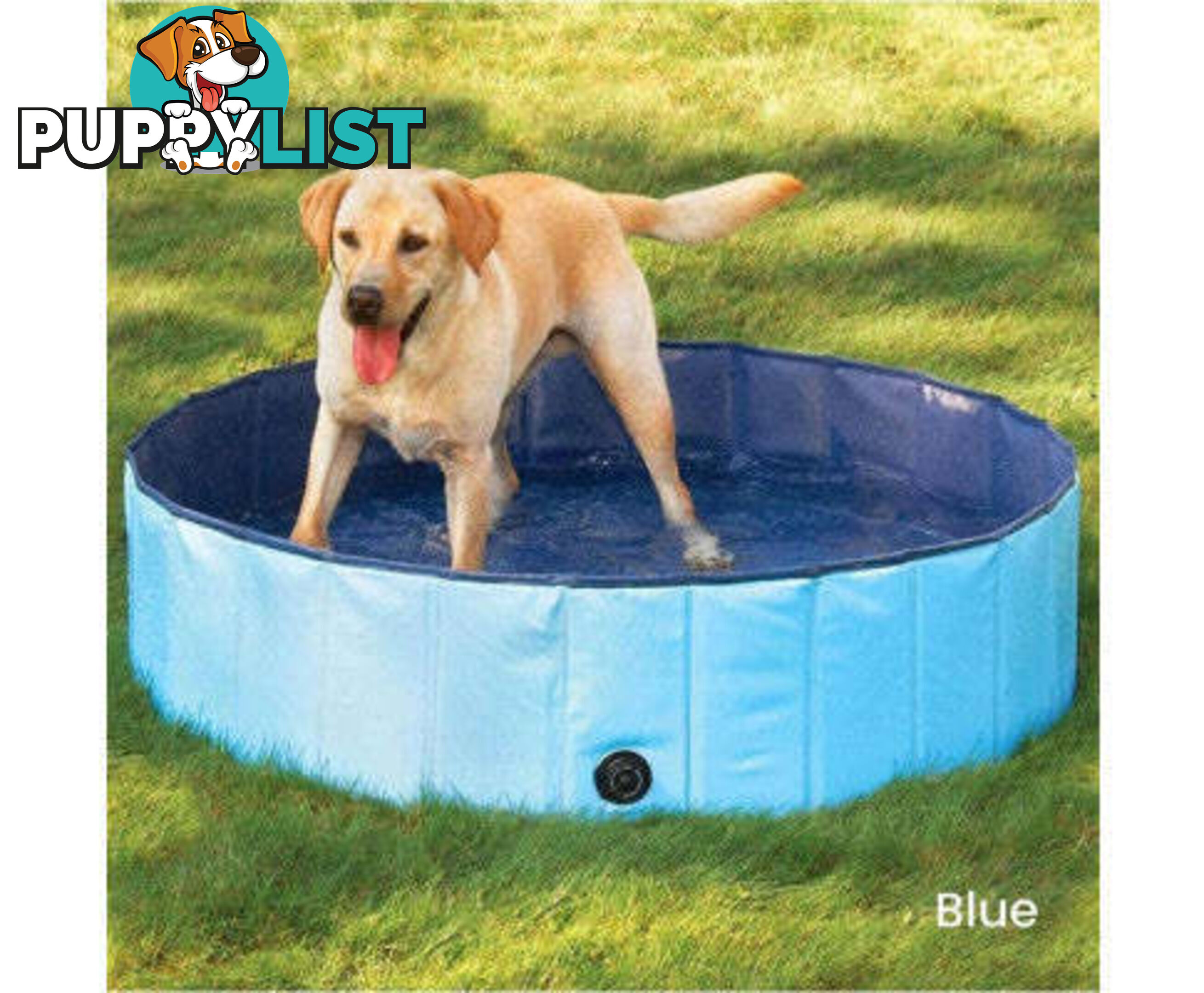 Floofi Pet Pool - V227-3331641004530