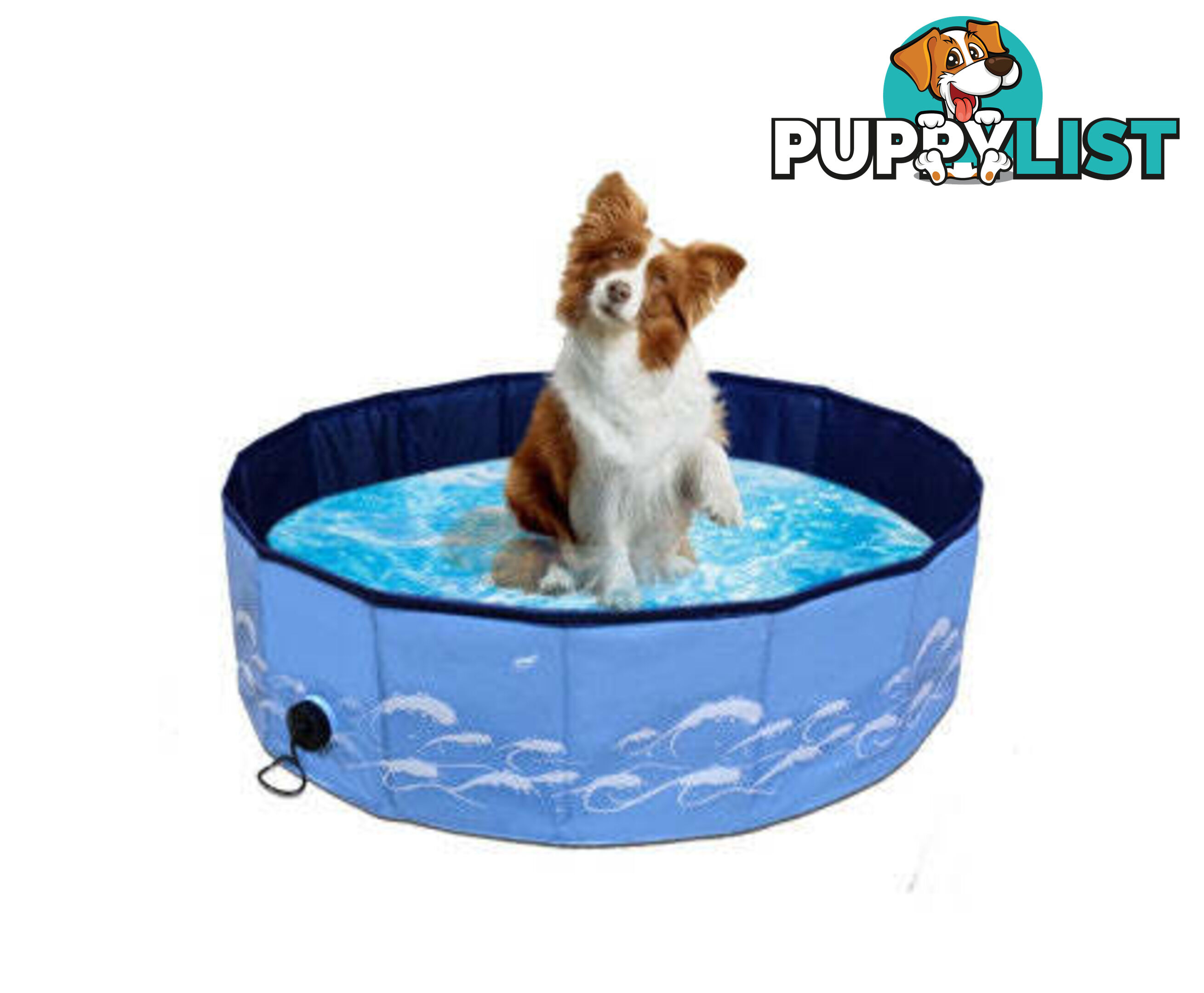 Floofi Pet Pool - V227-3331641004530