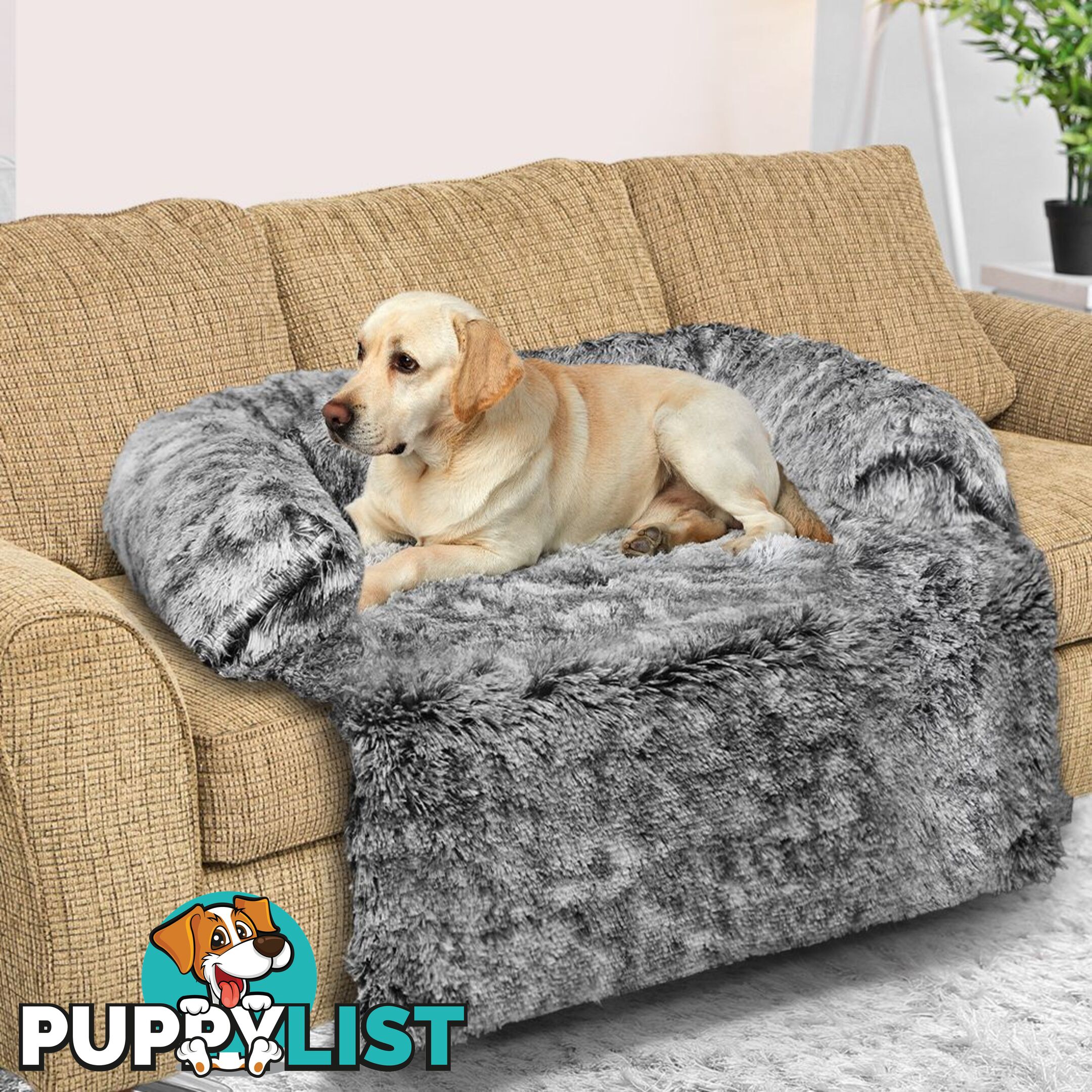 Bling Glitter Overlay Nylon Collar - Breakaway Buckle - Moondidley Pets - MDPCOLBLISHPNK