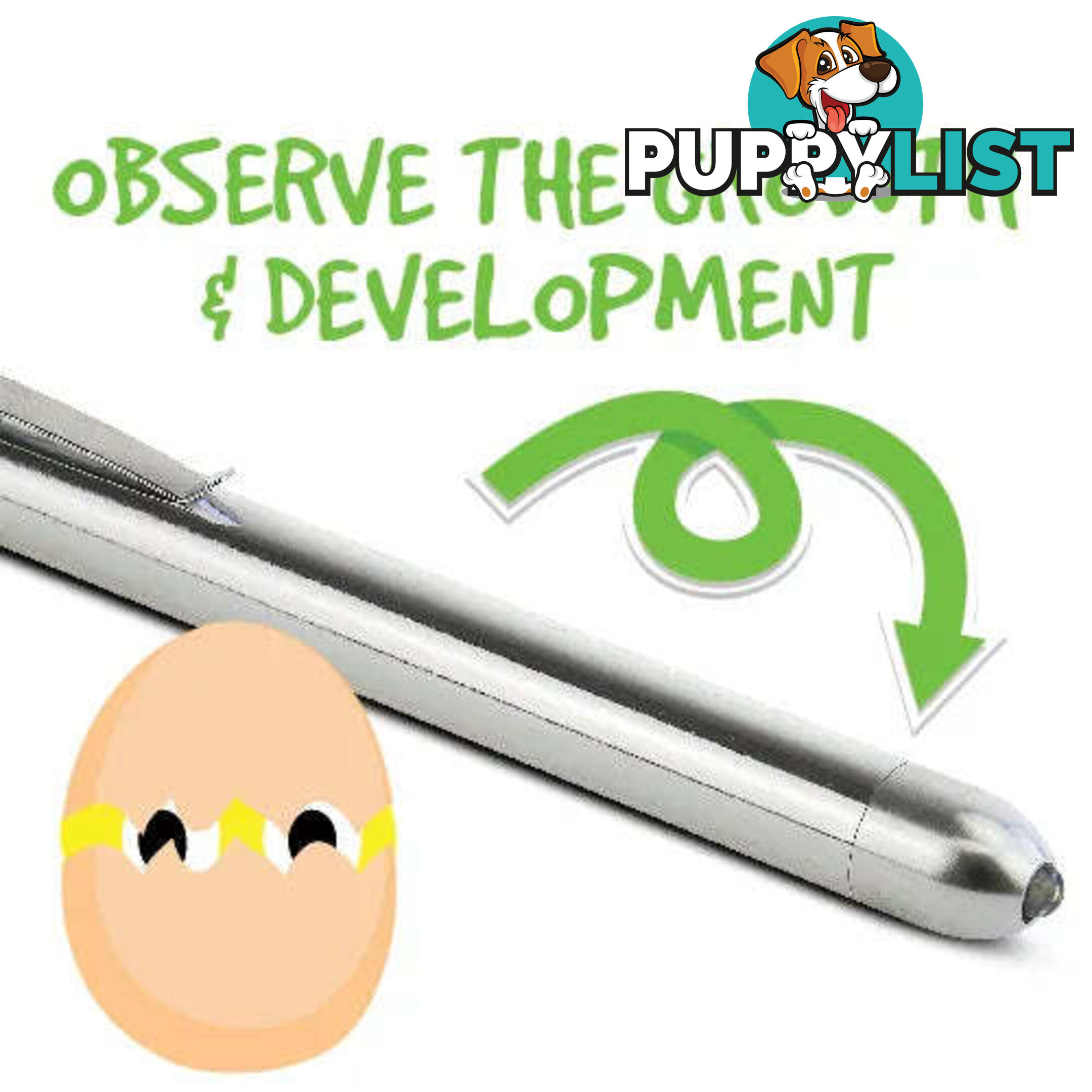 EGG CANDLER (BATTERIES NOT INCLUDED) - BAINBRIDGE - BB-A8108