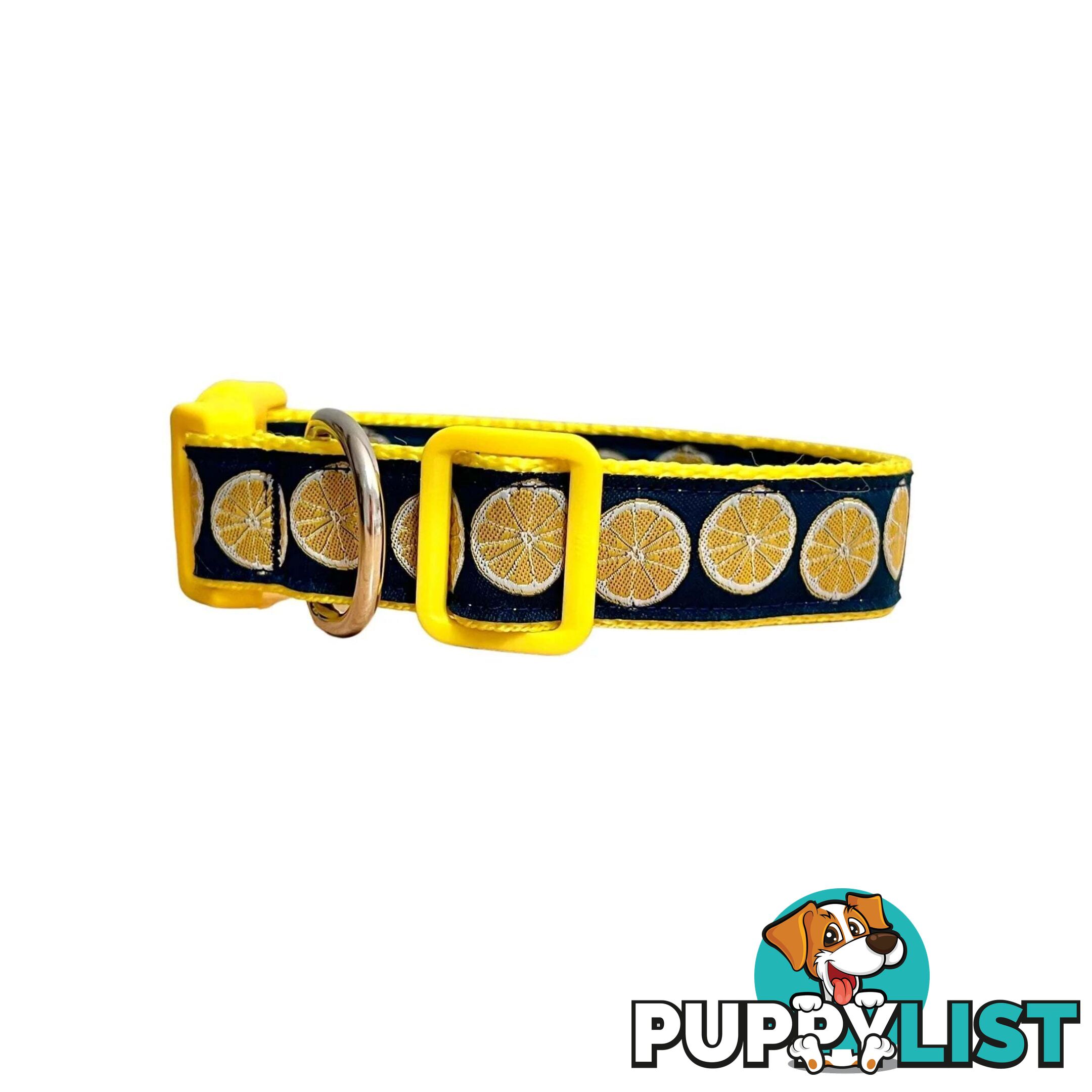 Lemon Dog Collar / XS - L - Hand Made by The Bark Side - TBSLEMMED