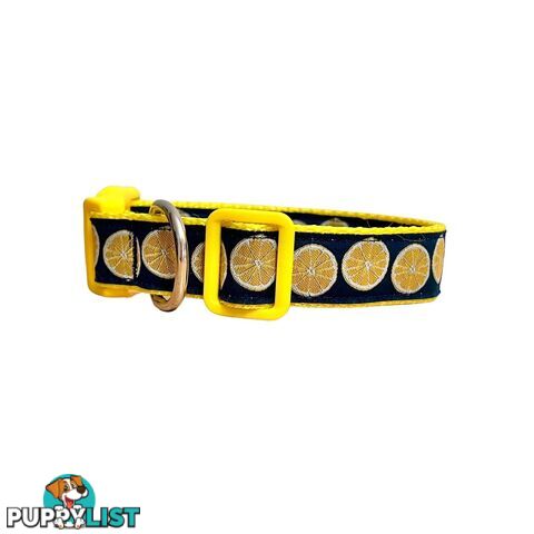 Lemon Dog Collar / XS - L - Hand Made by The Bark Side - TBSLEMMED