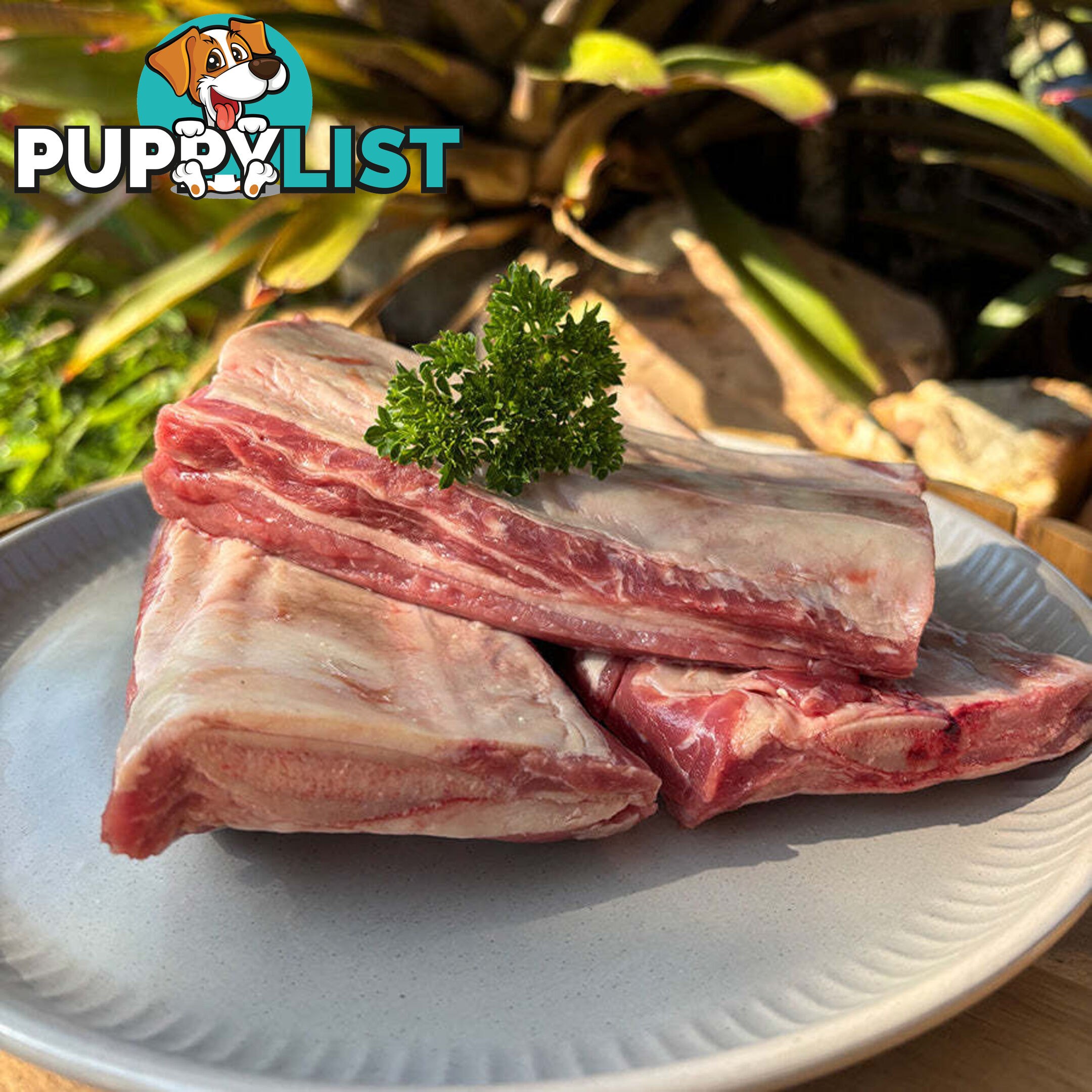 Rib Bones 1kg - Paddock to Plate - PTPRB1