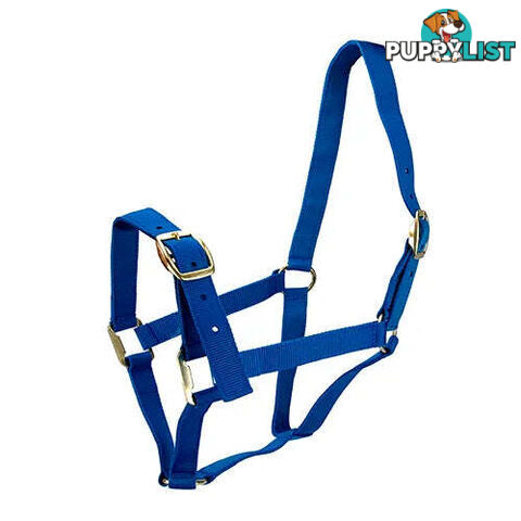 Click to Enlarge HORSE HALTERS - BAINBRIDGE - BB-A2201-PUR