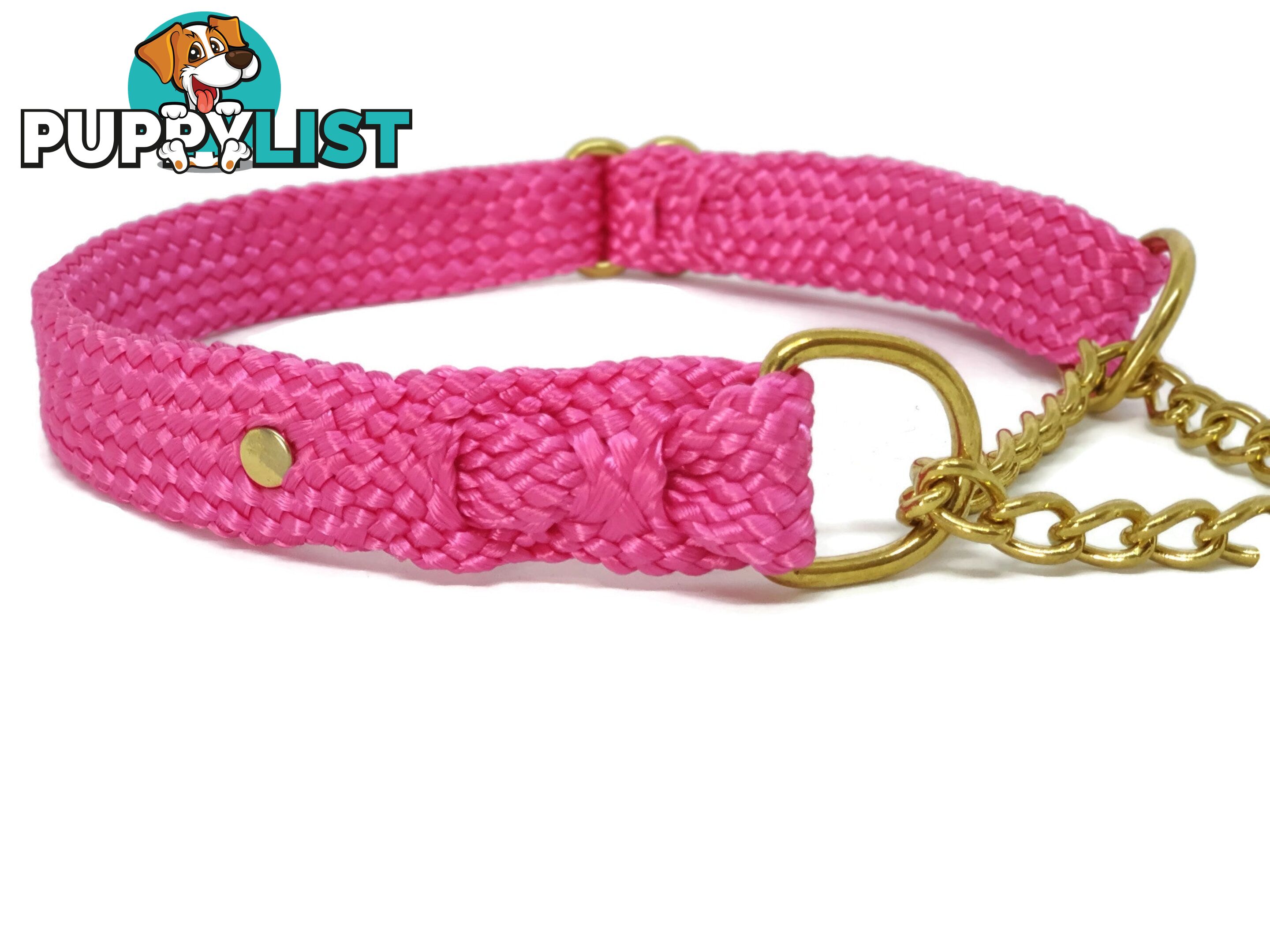 Martingale Dog Collars No Stitching Tough Yarnix - YNXCOLMARXL20LYELBLU