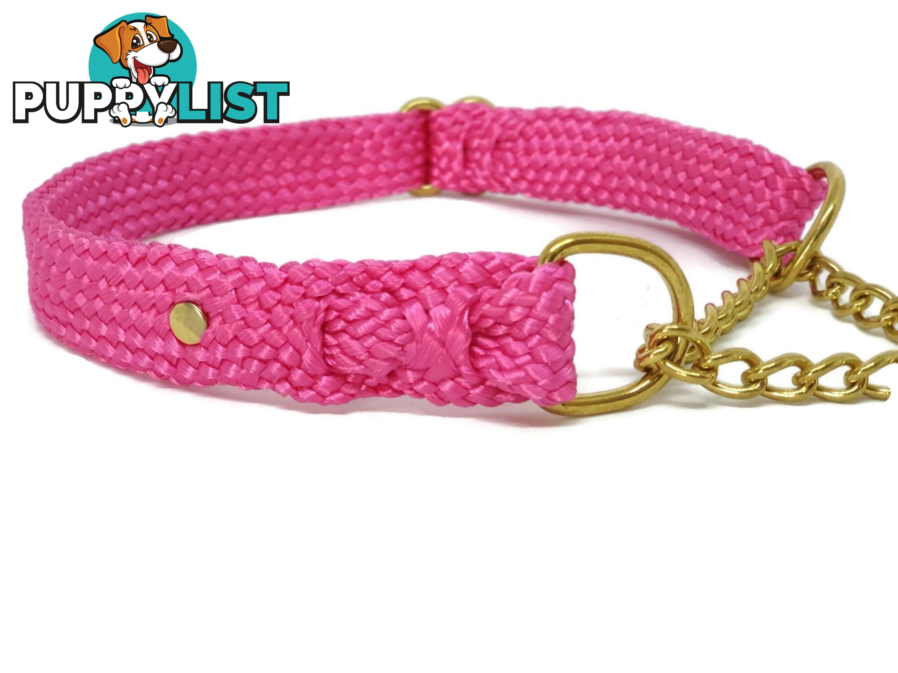 Martingale Dog Collars No Stitching Tough Yarnix - YNXCOLMARXL20LYELBLU