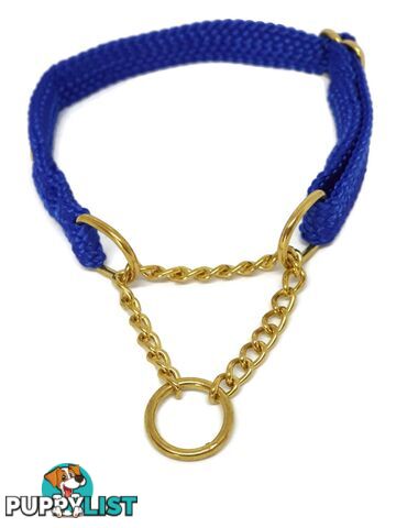 Martingale Dog Collars No Stitching Tough Yarnix - YNXCOLMARXL20LYELBLU
