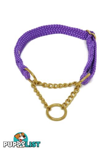 Martingale Dog Collars No Stitching Tough Yarnix - YNXCOLMARXL20LYELBLU