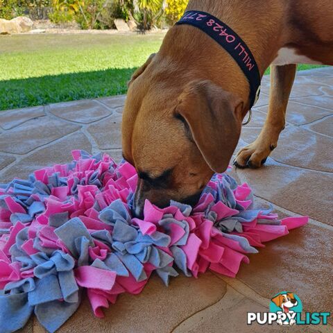 Snuffle Mats - Premium Heavy Duty Rubber Based - Pet Treat Play - Calms Anxiety - Slow Feeder - SNUFFLE-MED-GRNA