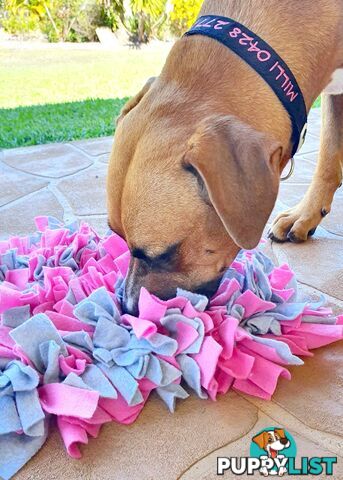Snuffle Mats - Premium Heavy Duty Rubber Based - Pet Treat Play - Calms Anxiety - Slow Feeder - SNUFFLE-MED-GRNA