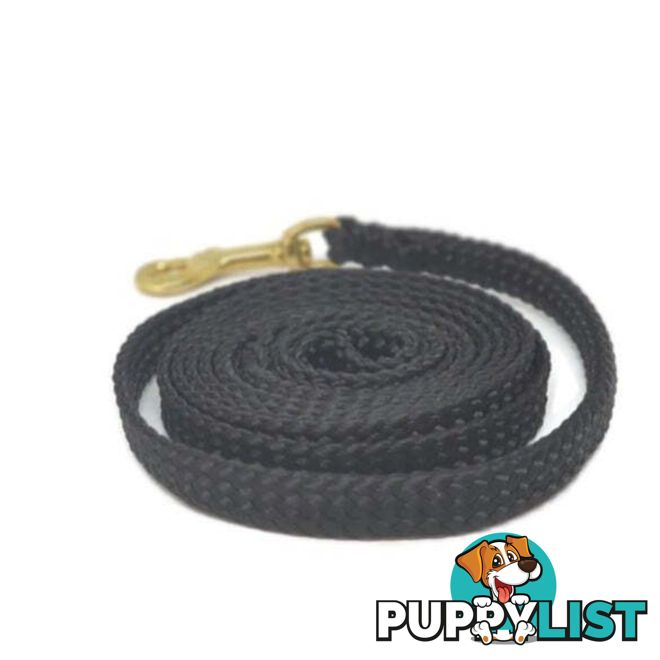 1.8m to 10m Long Dog Lead No Stitching Tough Yarnix 10mm Wide - YNXLD10-3-PUR-BR