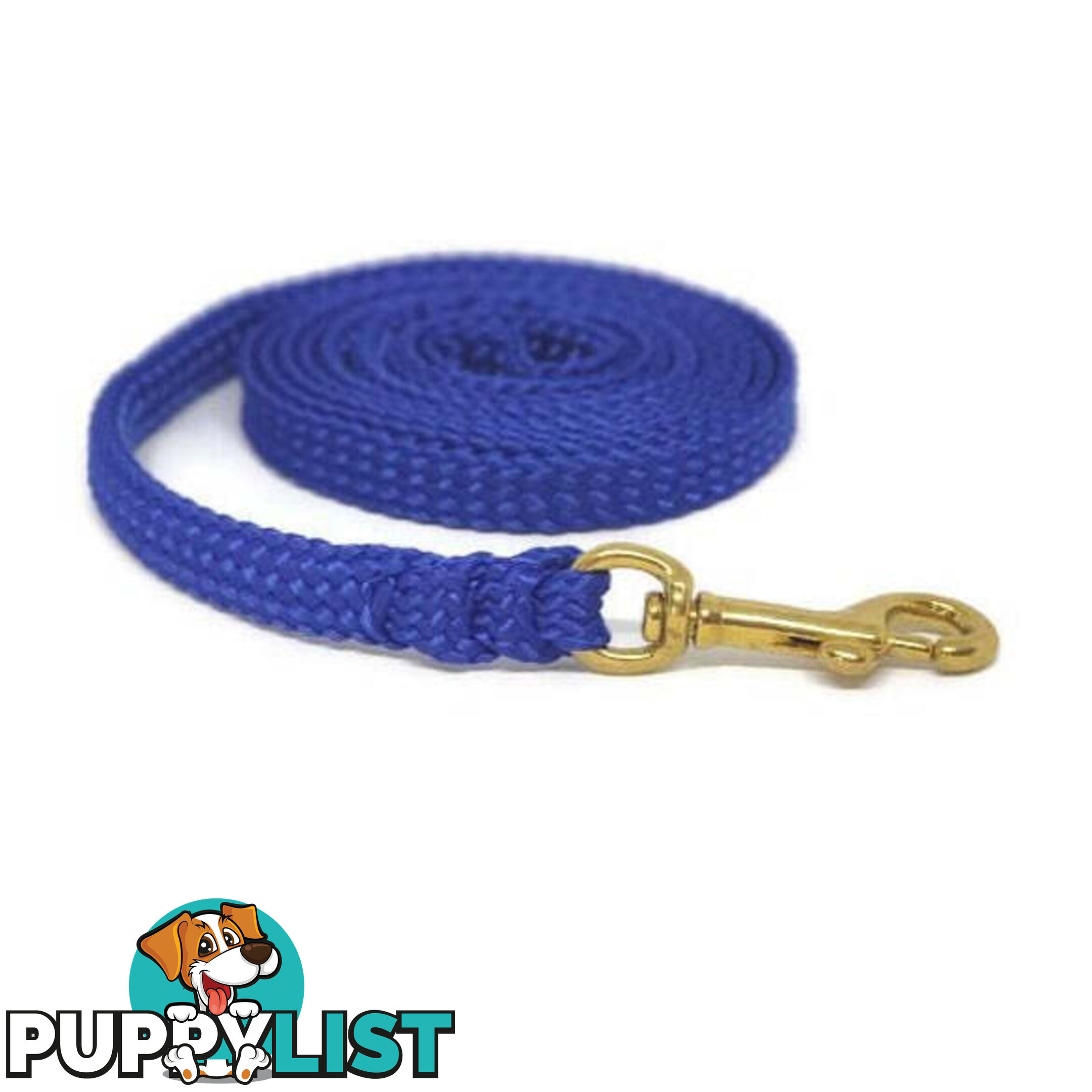 1.8m to 10m Long Dog Lead No Stitching Tough Yarnix 10mm Wide - YNXLD10-3-PUR-BR