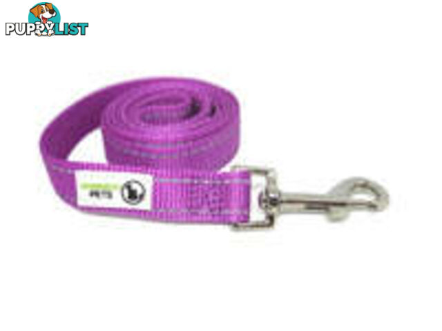 1.8m Nylon w/Reflective Stitching Dog Lead - Moondidley Pets - MDPLDREFGRN251.8