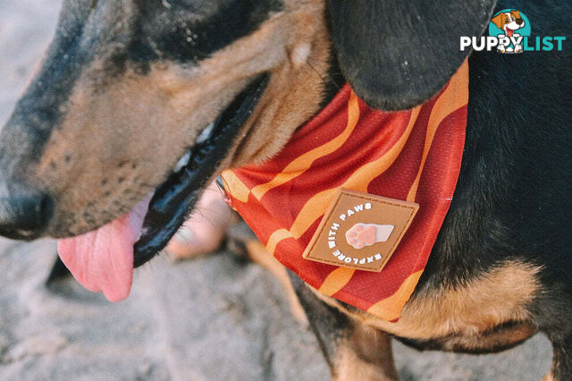 Designer Dog Bandana's by Explore with Paws - EWPBANMCRO
