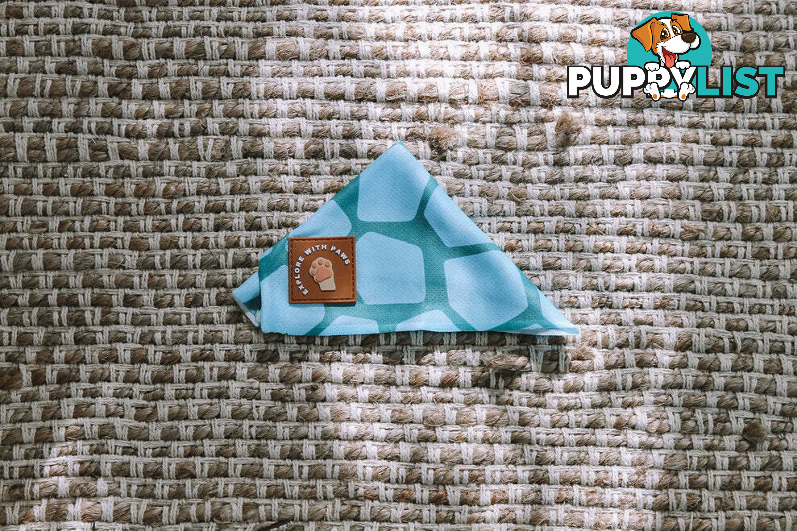 Designer Dog Bandana's by Explore with Paws - EWPBANMCRO