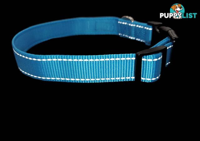 Nylon w/Reflective Stitching Dog Collar - Moondidley Pets - MDPCOLREFMGRN