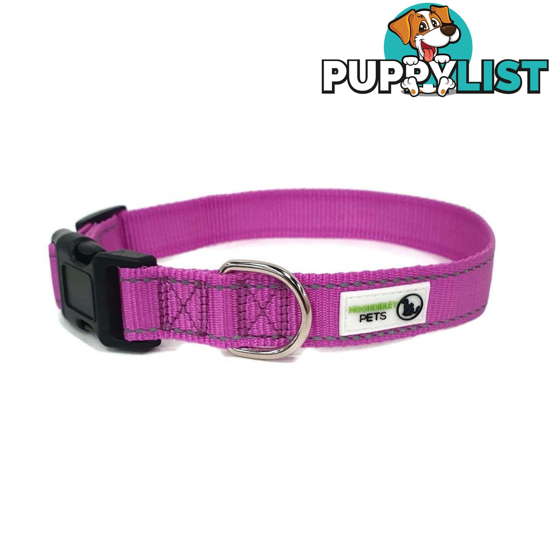 Nylon w/Reflective Stitching Dog Collar - Moondidley Pets - MDPCOLREFMGRN