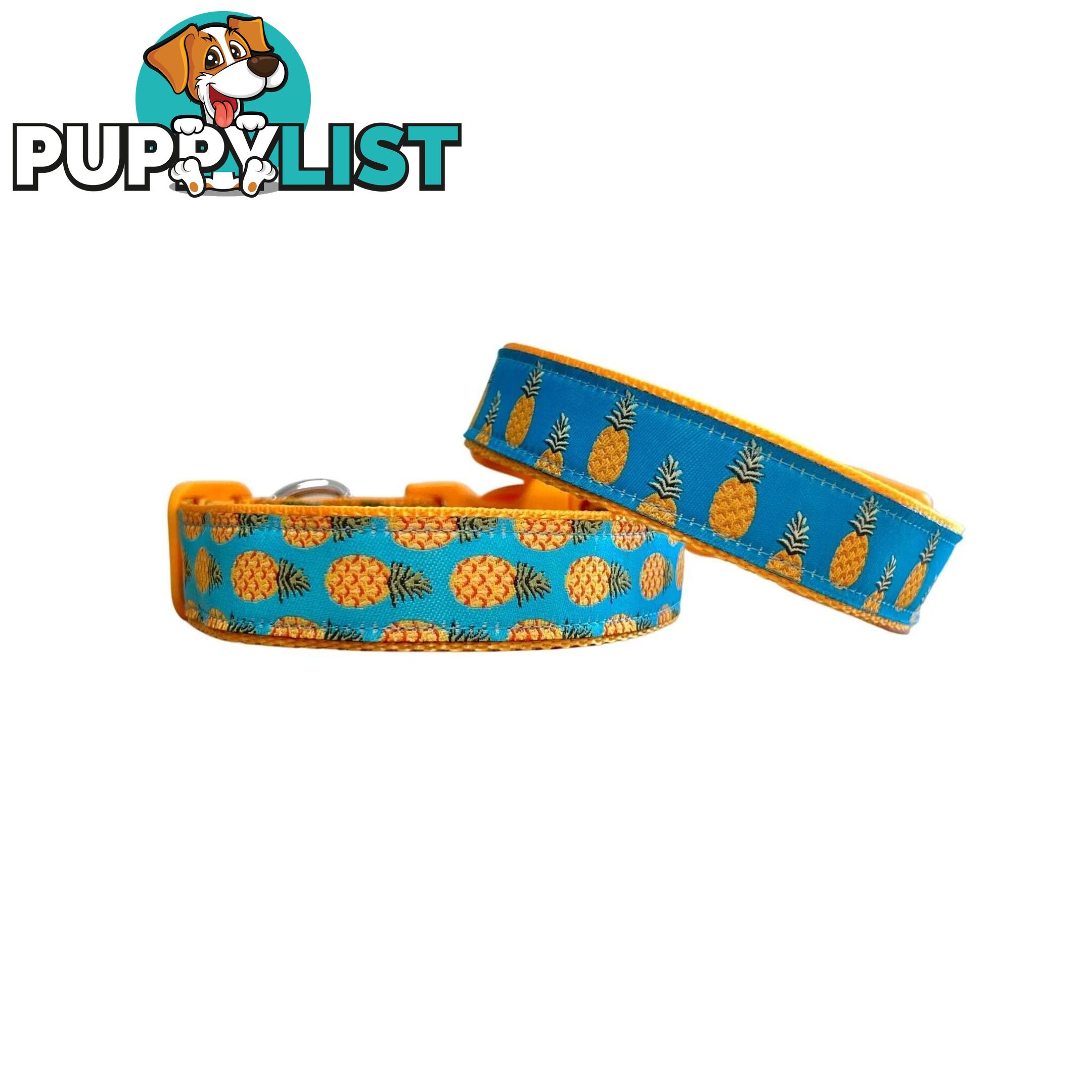 Pineapple Dog Collar - Hand Made by The Bark Side - TBSPIN2M