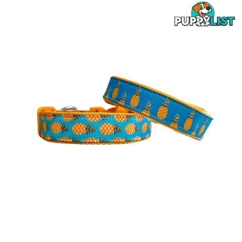 Pineapple Dog Collar - Hand Made by The Bark Side - TBSPIN2M