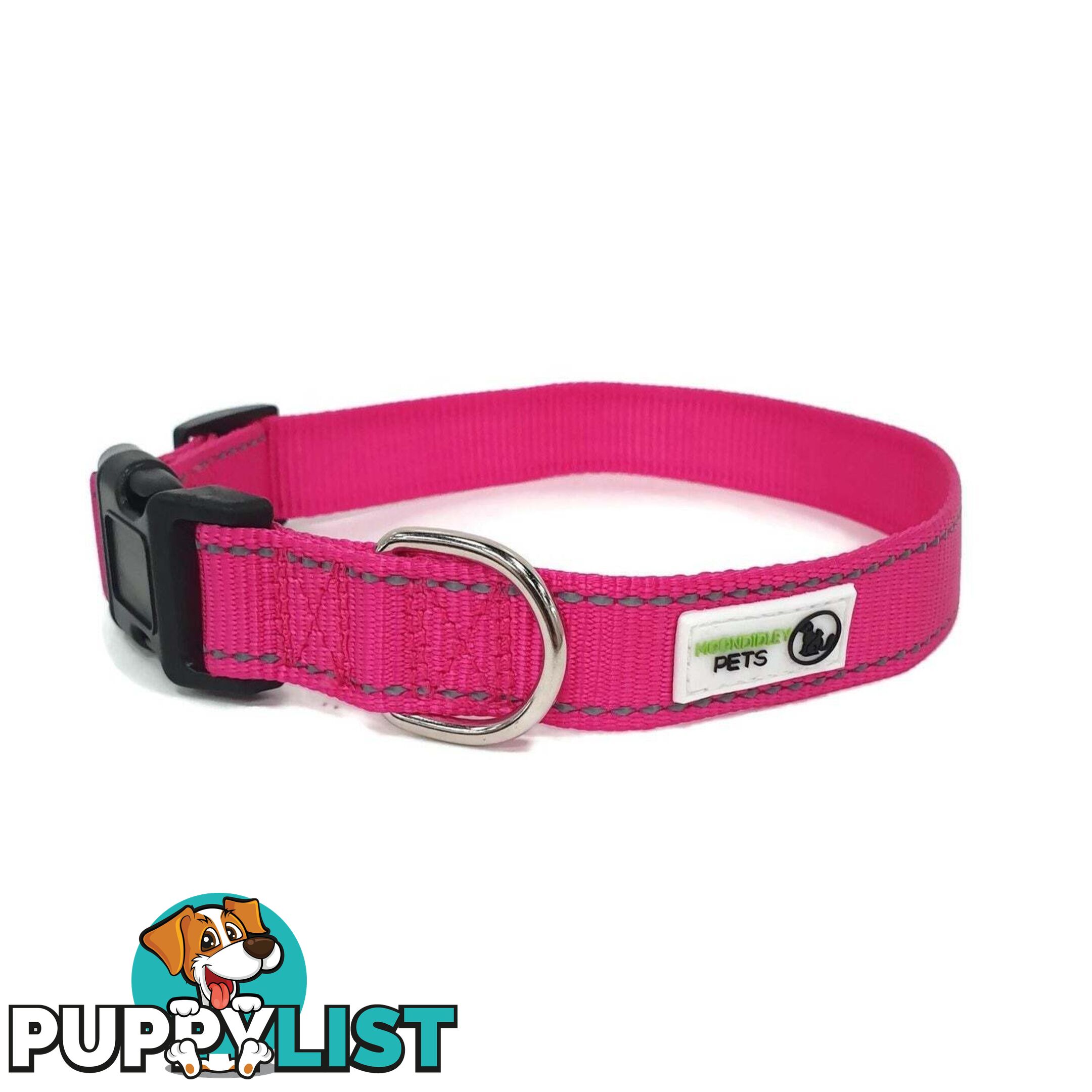 Nylon w/Reflective Stitching Dog Collar - Moondidley Pets - MDPCOLREFXLTUR