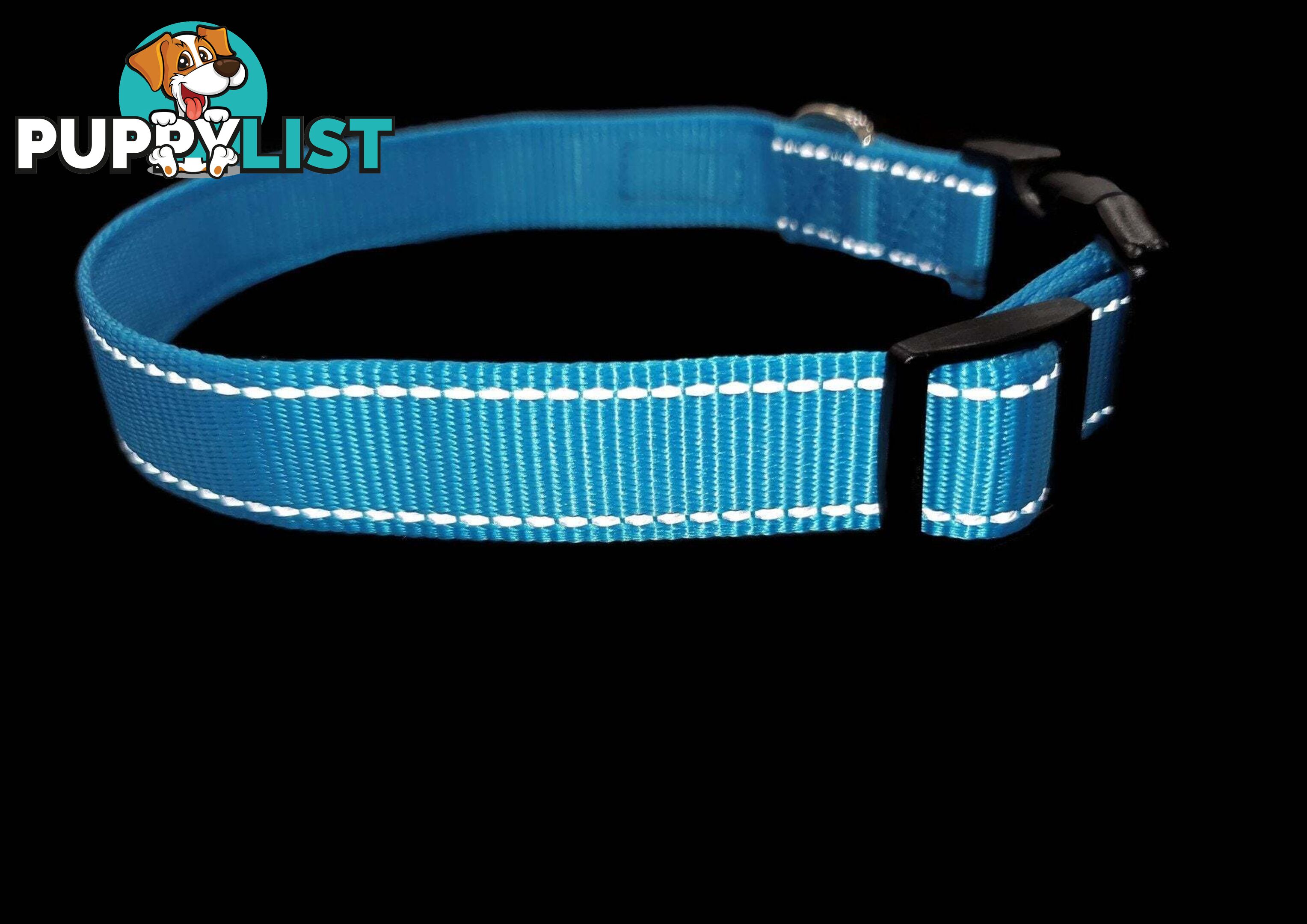 Nylon w/Reflective Stitching Dog Collar - Moondidley Pets - MDPCOLREFXLTUR